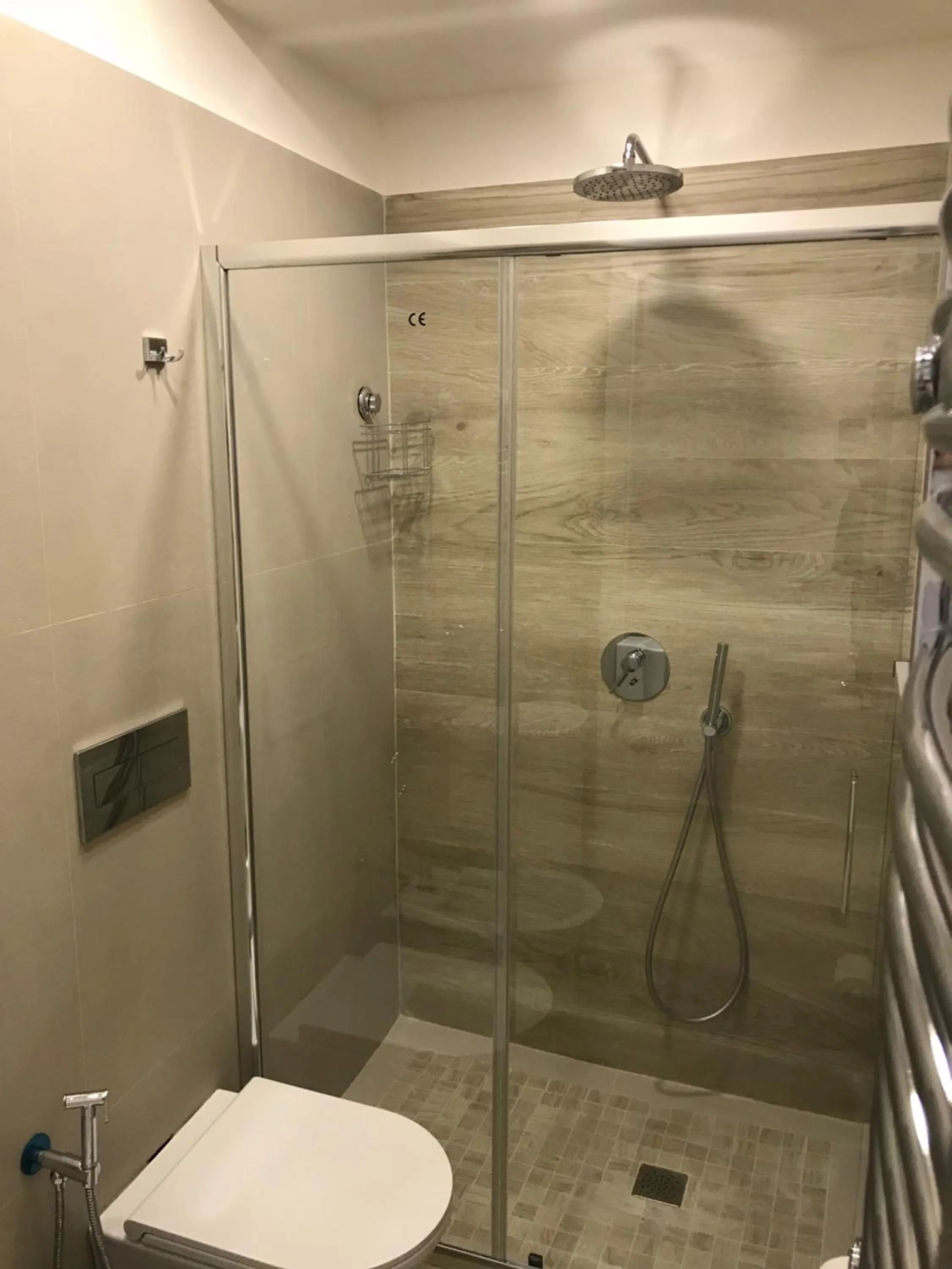 Shower in Terrazza Aragon Room and SPA