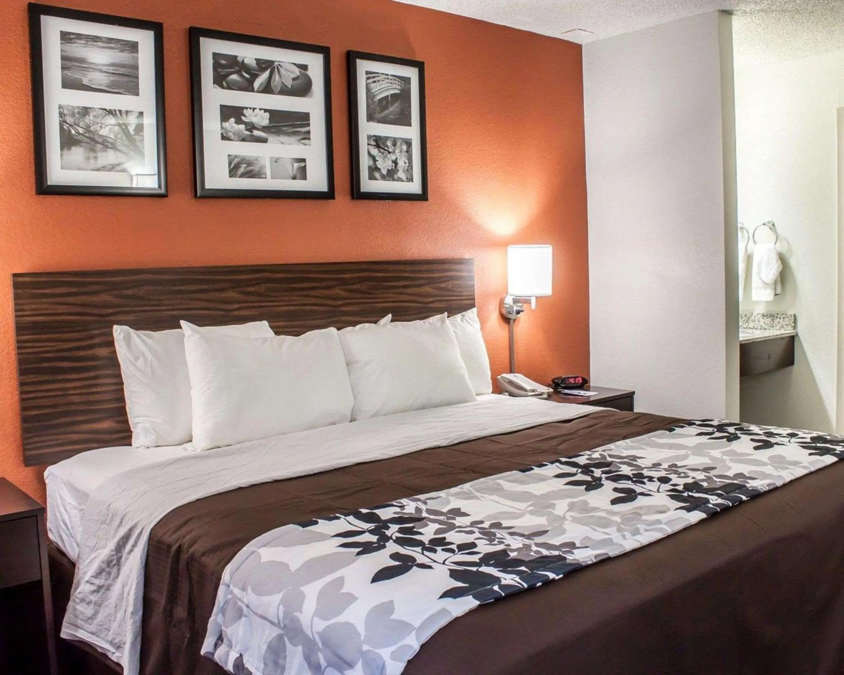 Photo of the whole room, Bed in Sleep Inn Arlington Near Six Flags