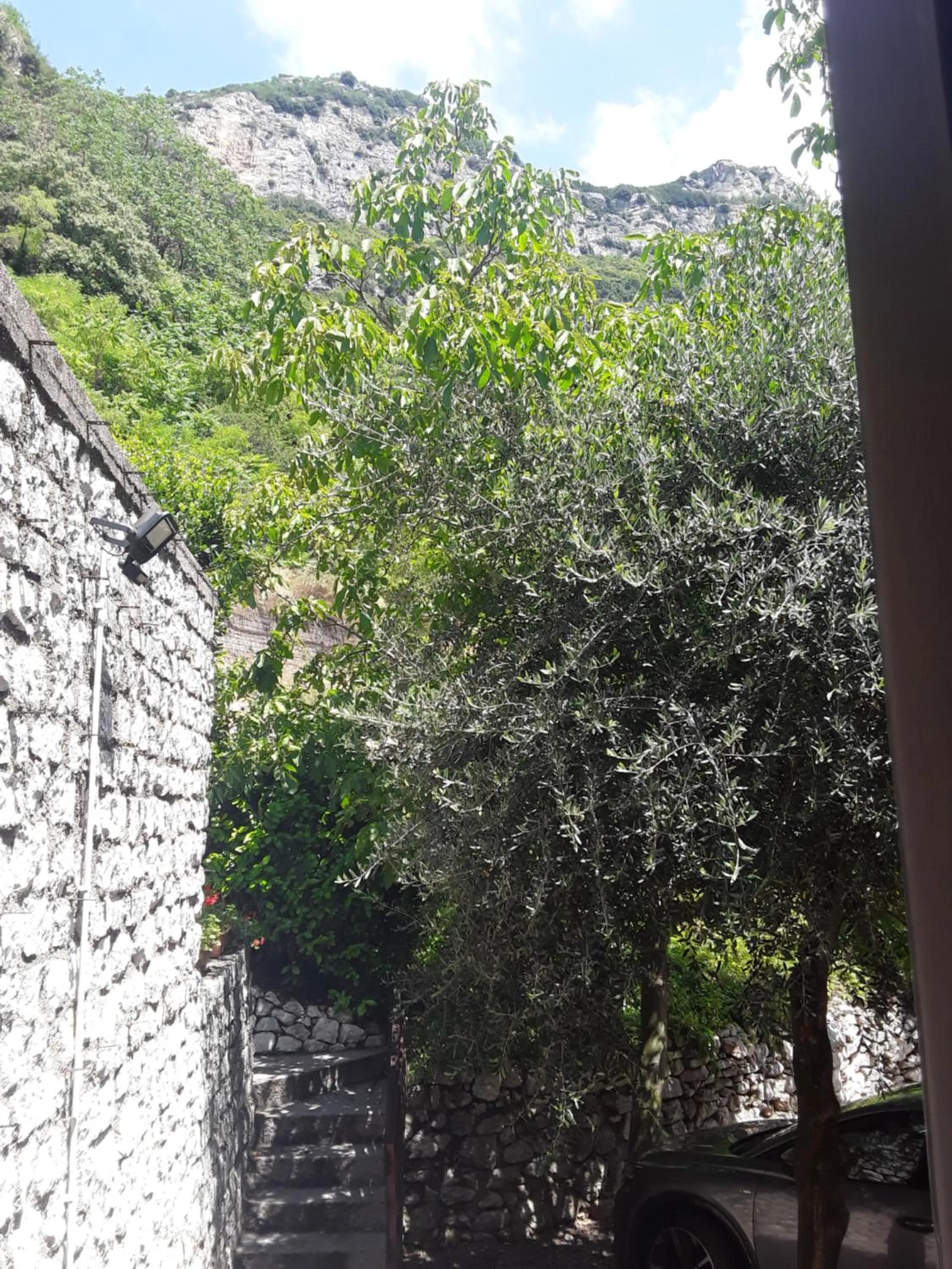 View (from property/room) in Villa degli Olivi Relais