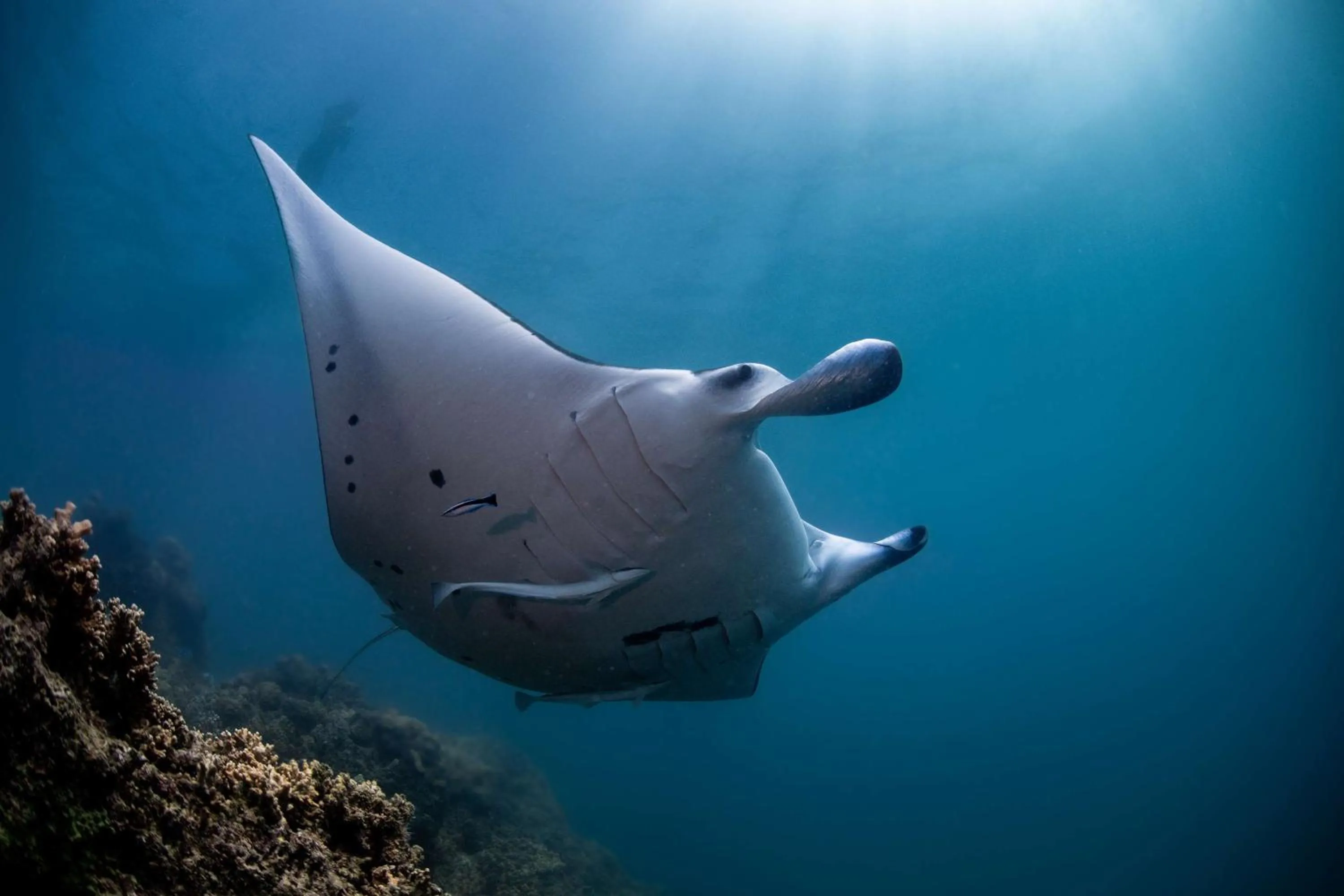 Sports in Conrad Bora Bora Nui