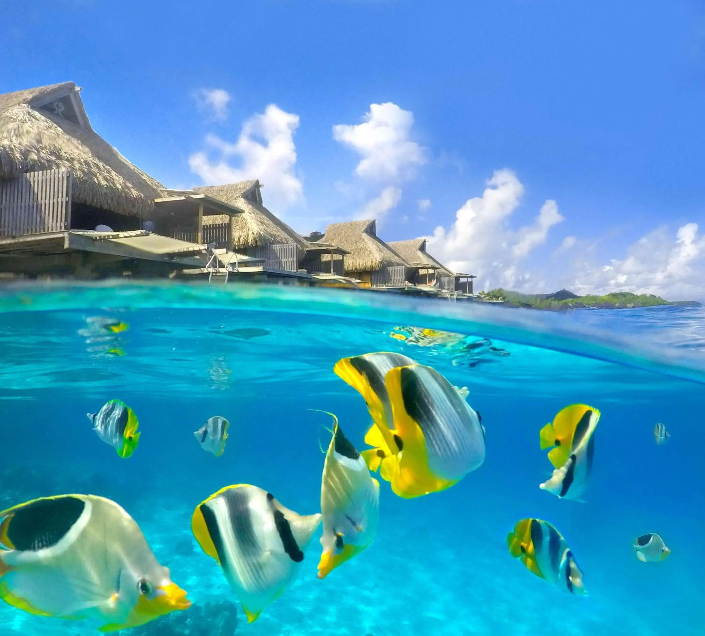 Sports in Conrad Bora Bora Nui