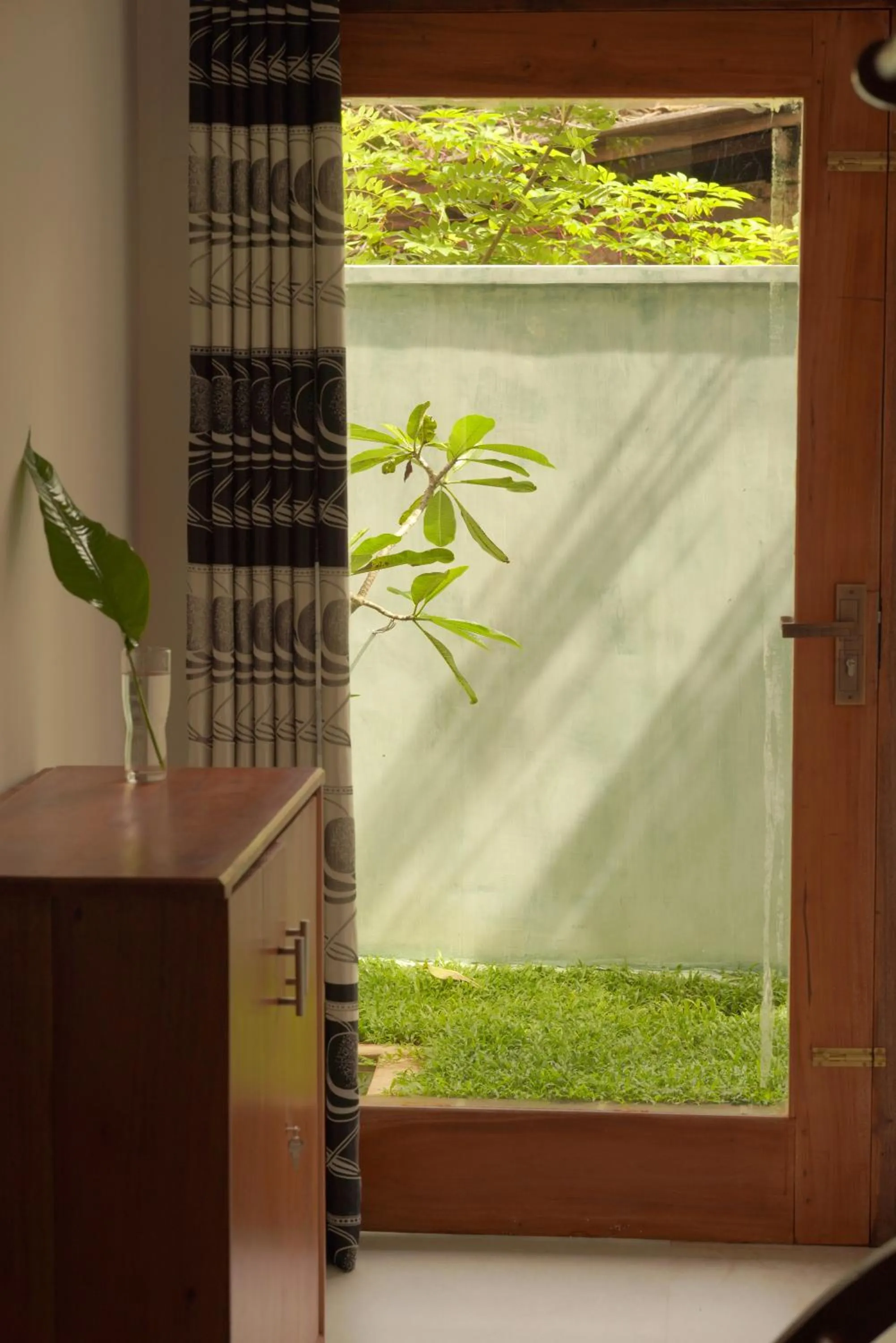 Garden view in Temple Tree