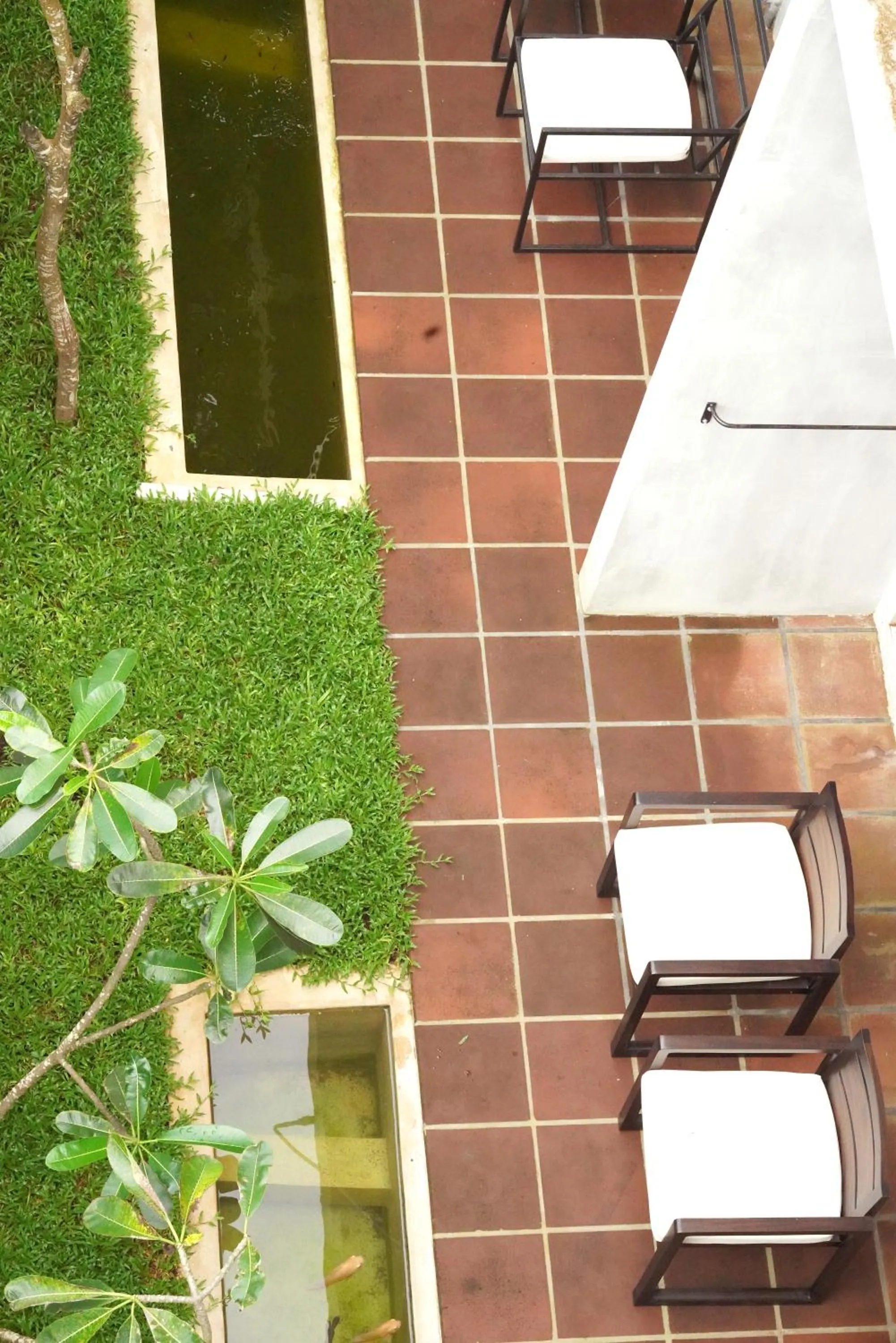 Garden in Temple Tree