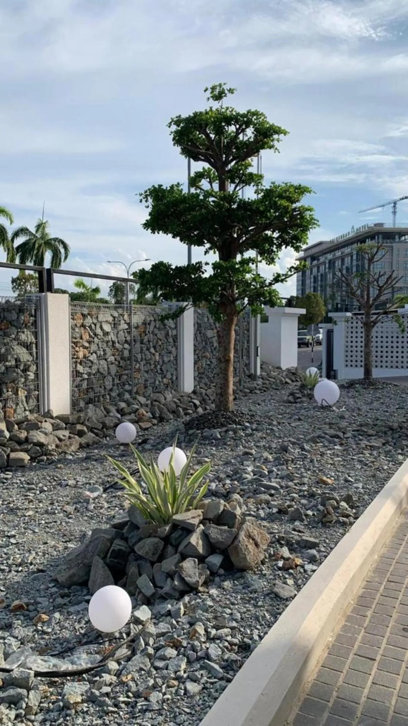 Garden view in Blanco Apartment Hotel