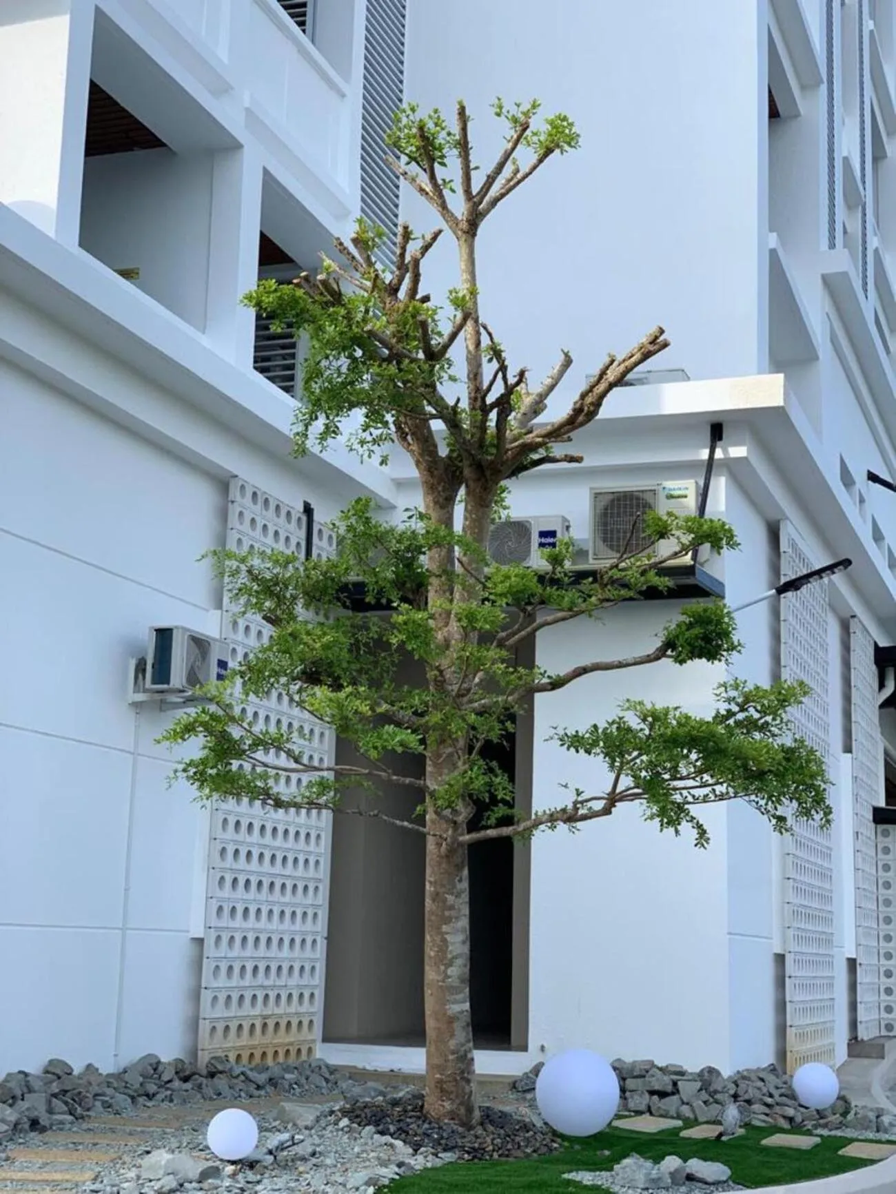 Garden view in Blanco Apartment Hotel