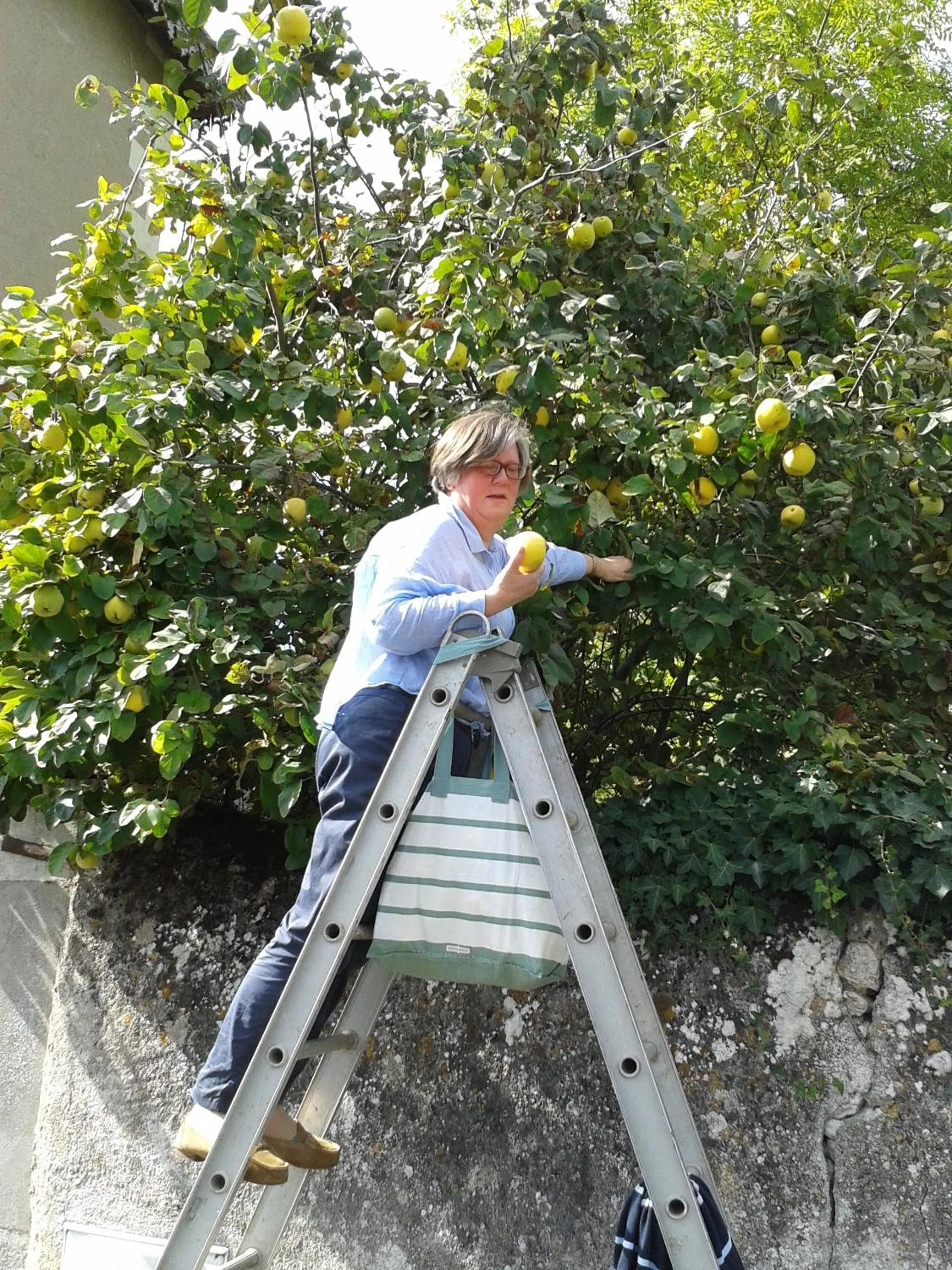 Day in La Héraudière Bed & Breakfast