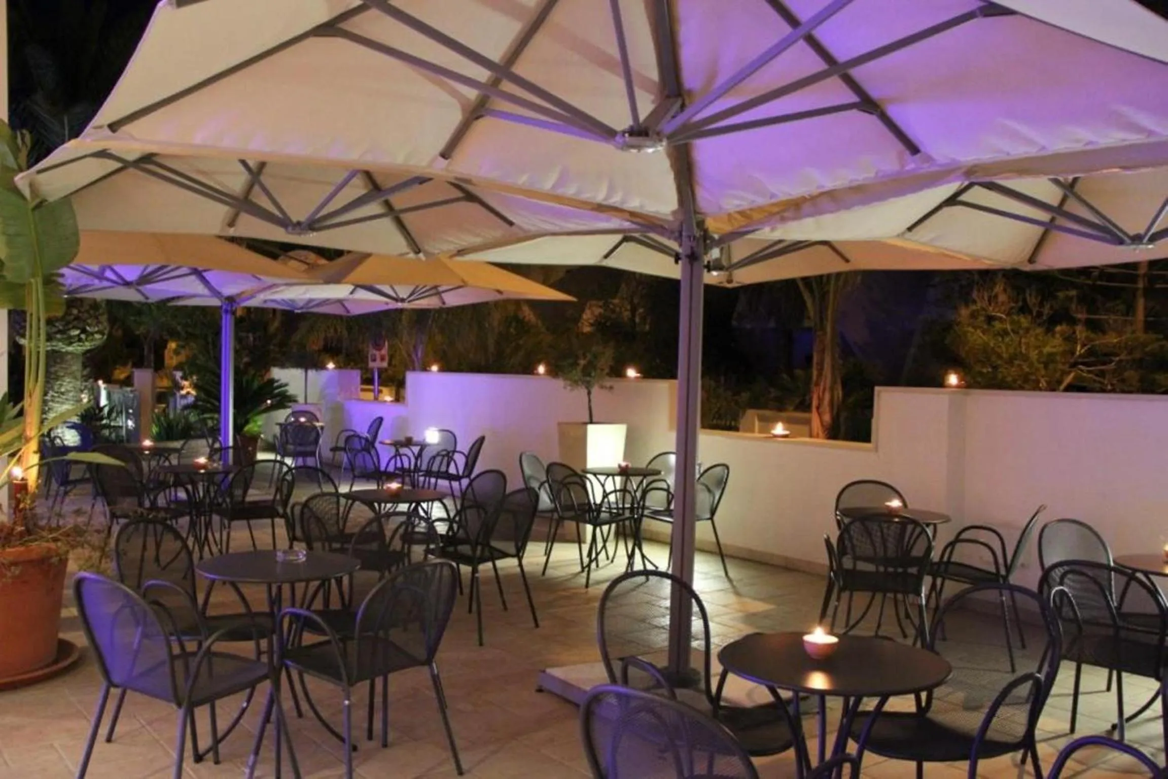 Garden in Hotel Risberg