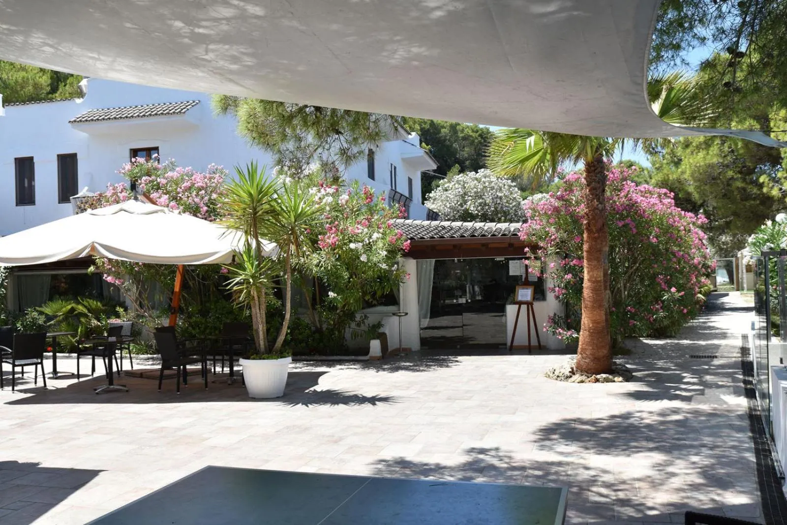 Area and facilities in Hotel Gabbiano Beach