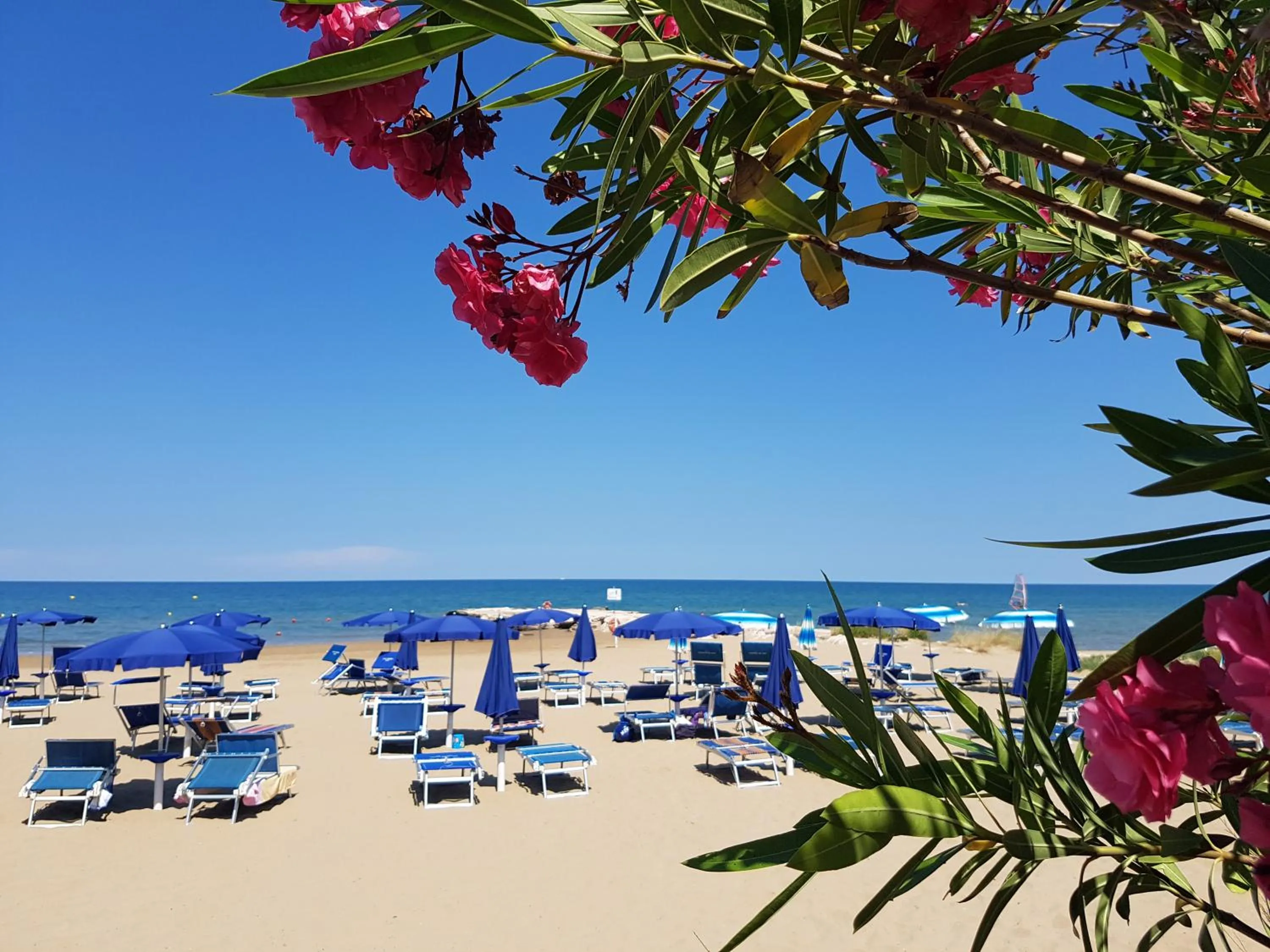 Beach in Hotel Gabbiano Beach