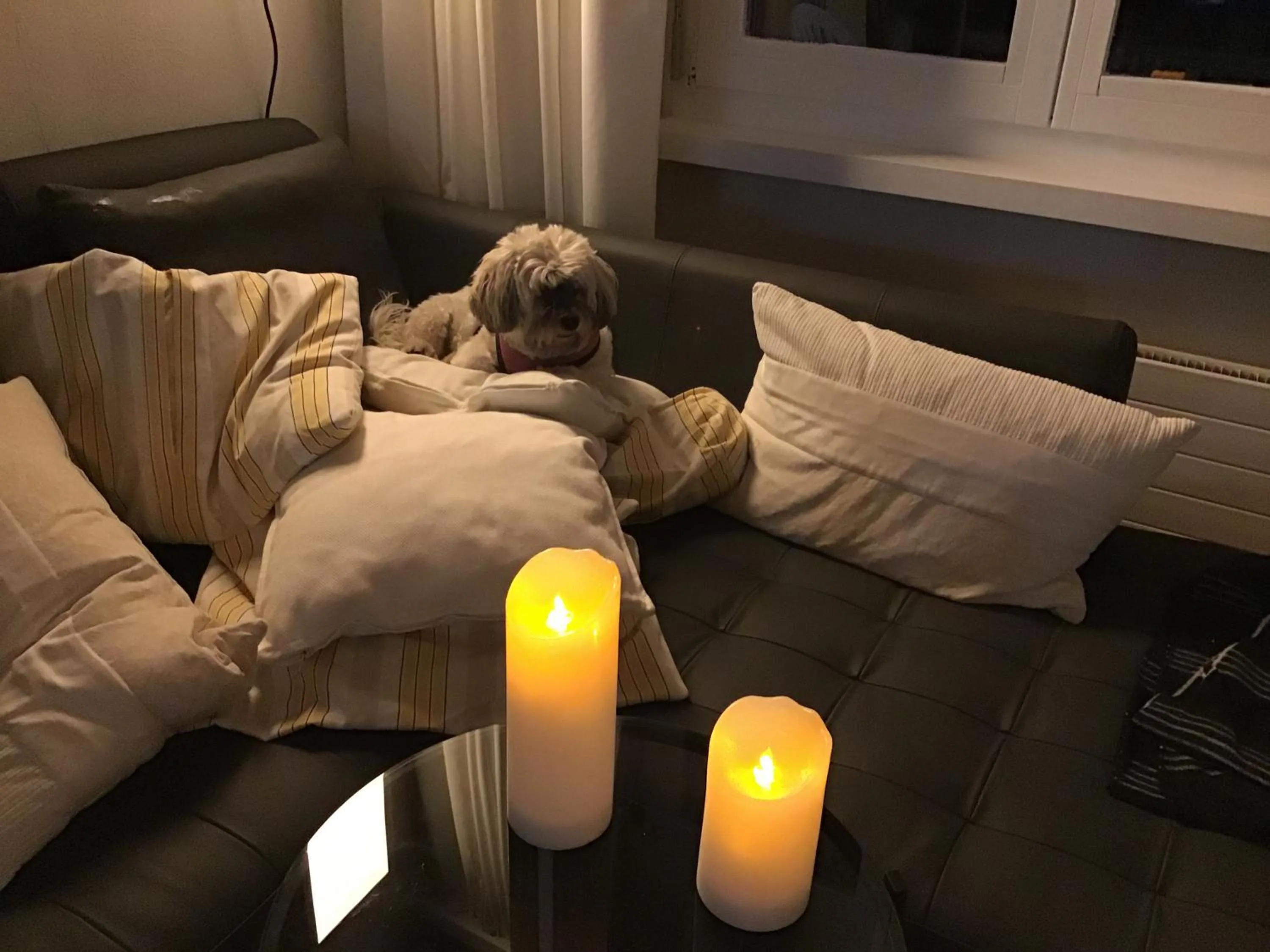 Seating area in Disentiserhof