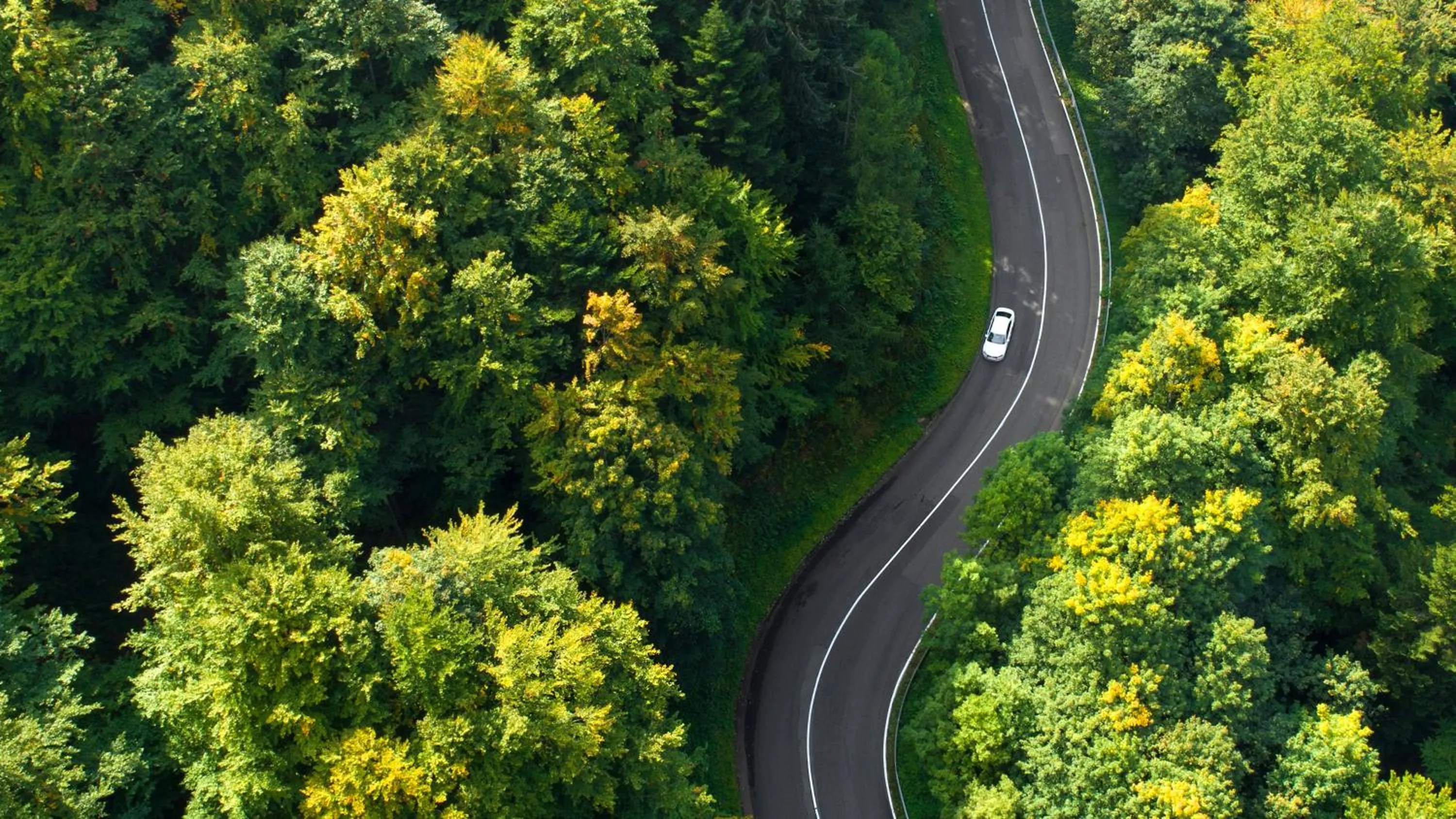 Other in InterContinental Almaty by IHG