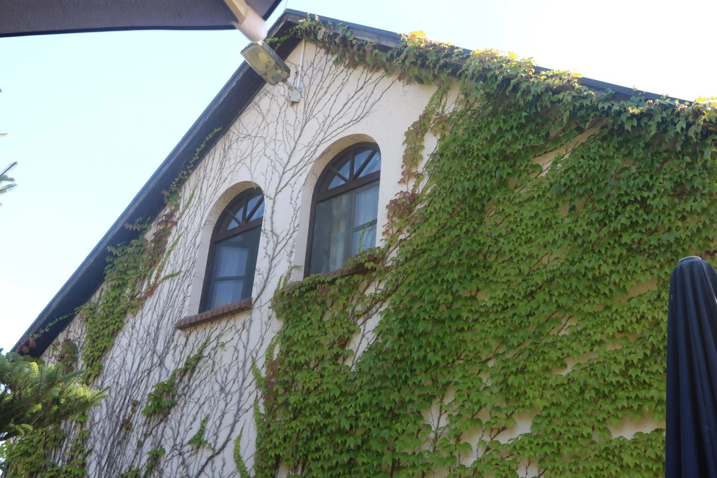 Property building in Spreewaldhotel Garni Raddusch