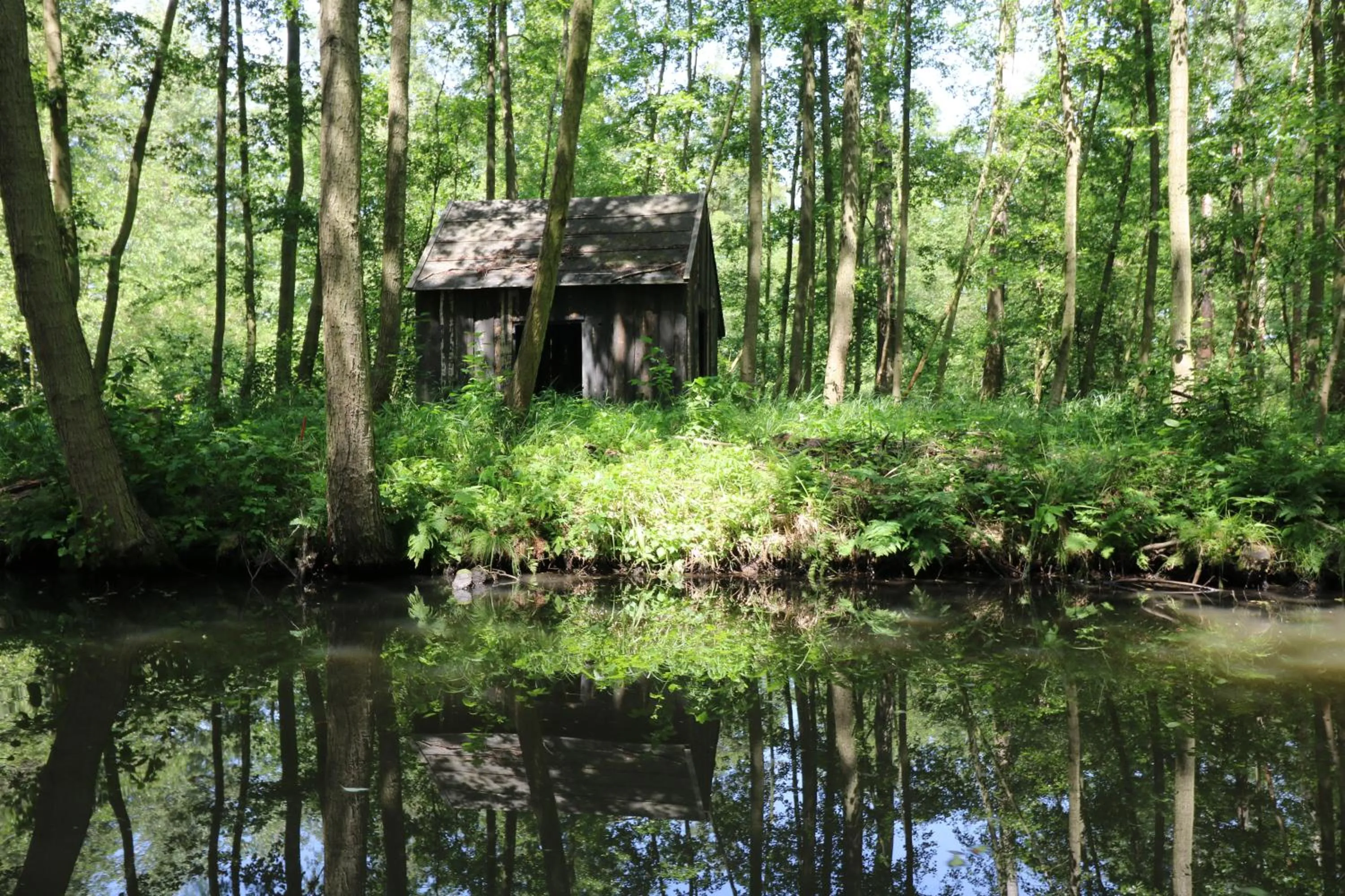 Nearby landmark in Spreewaldhotel Garni Raddusch