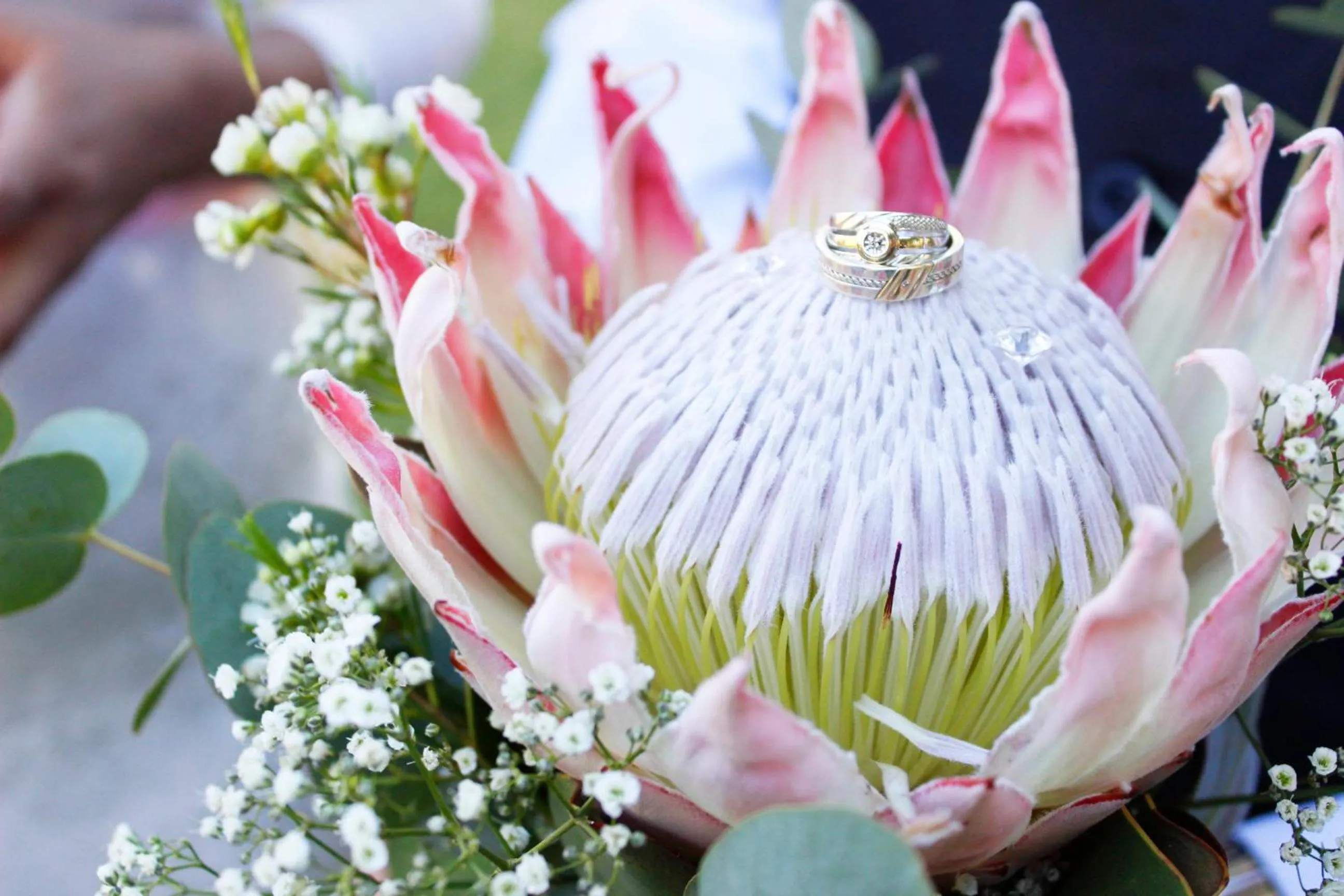 Belurana River Manor