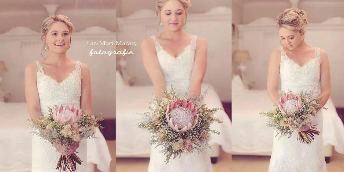 Other in Belurana River Manor