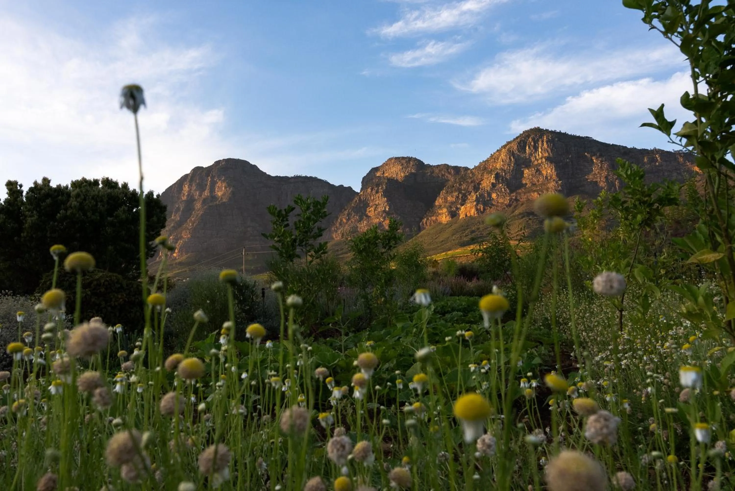 Mountain view in Angala