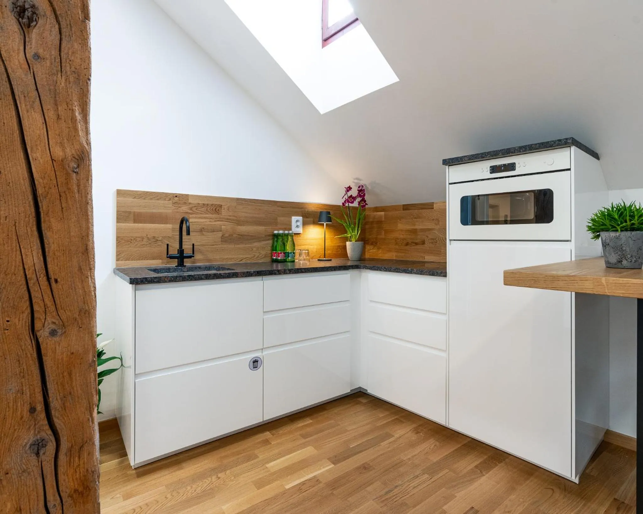 Kitchen or kitchenette in Hotel Zlaty Andel