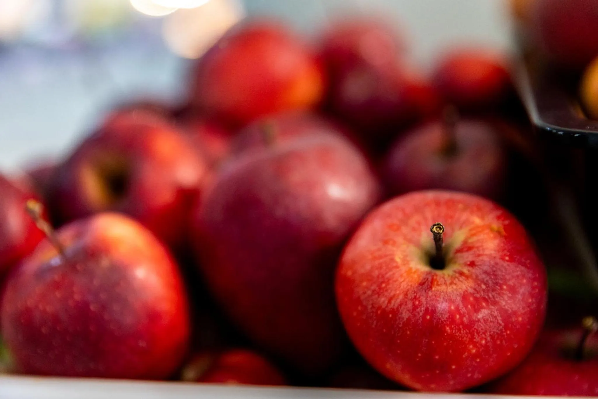 Food and drinks in MPM Hotel Kalina Garden - All Inclusive