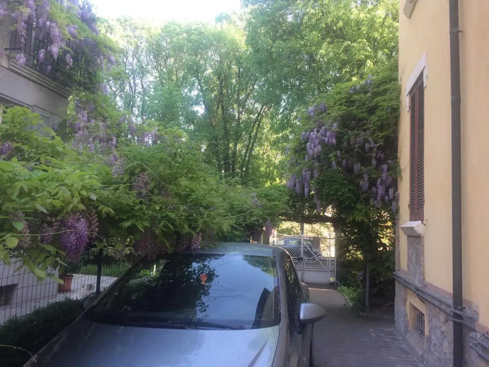 Standard Single Room with Shared Bathroom - single occupancy in B&B Cittadella Standard Single Room with Shared Bathroom - single occupancy in B&B Cittadella