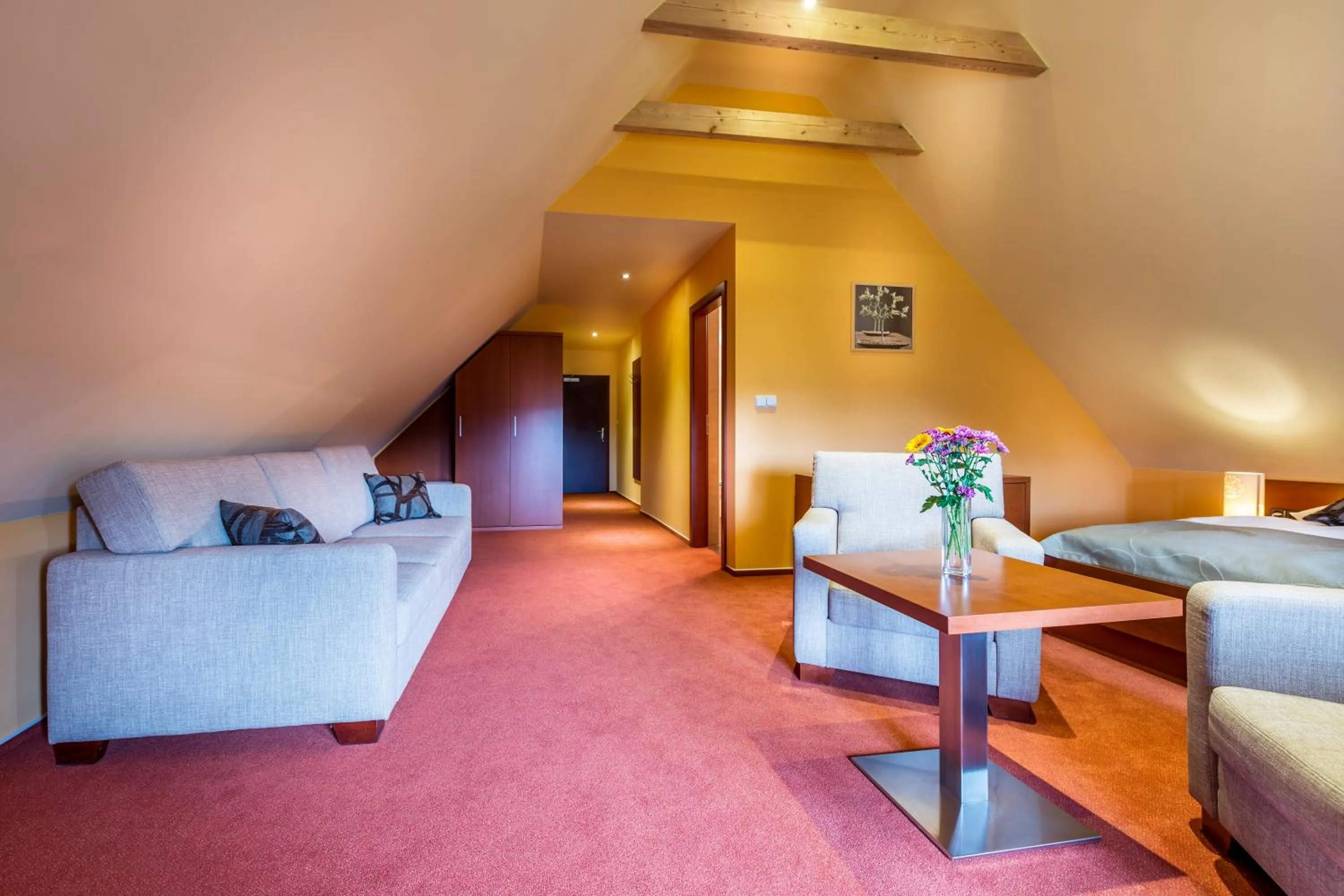 Photo of the whole room in Hotel SKANZEN