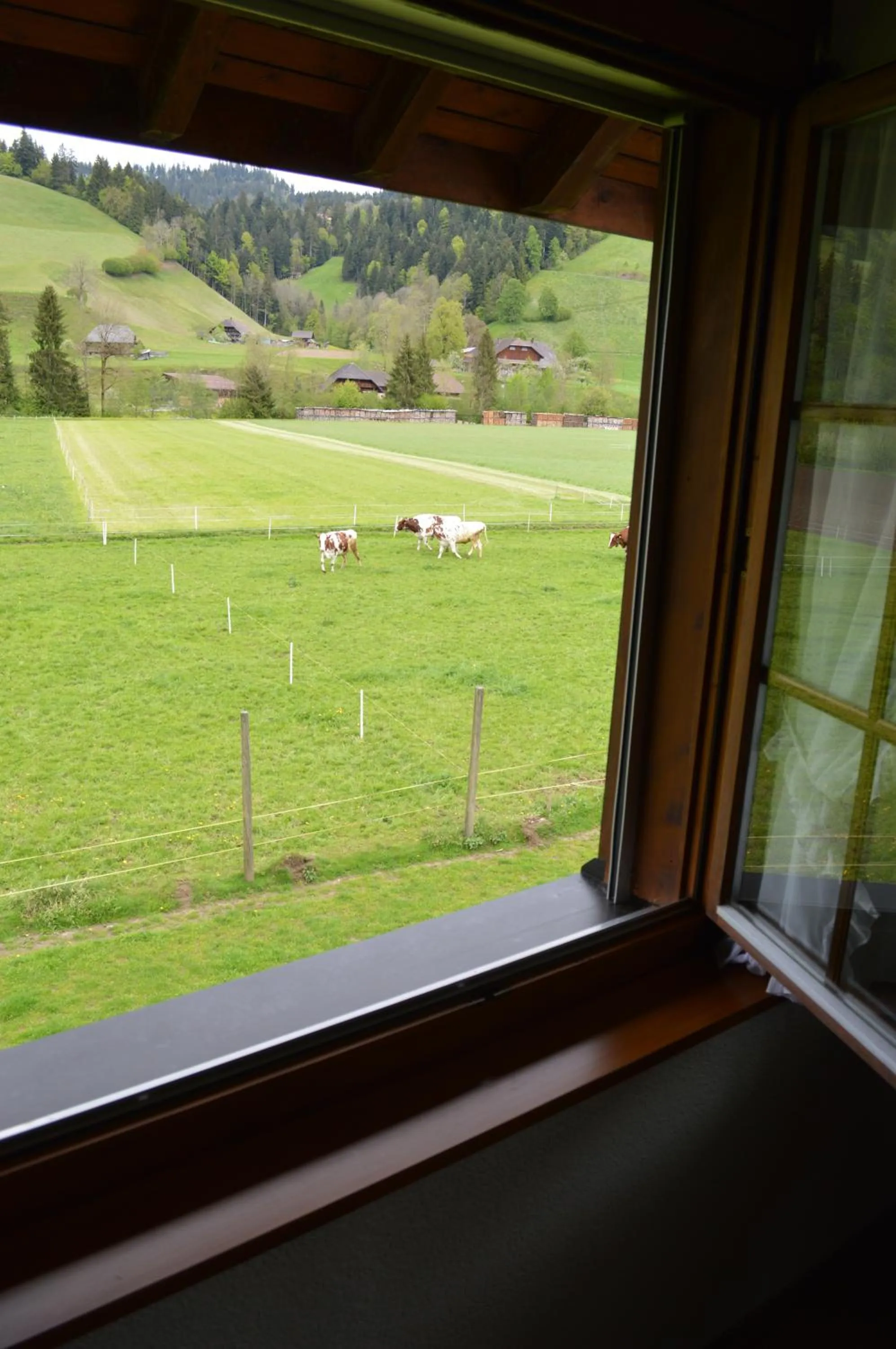 View (from property/room) in Hirschen Eggiwil