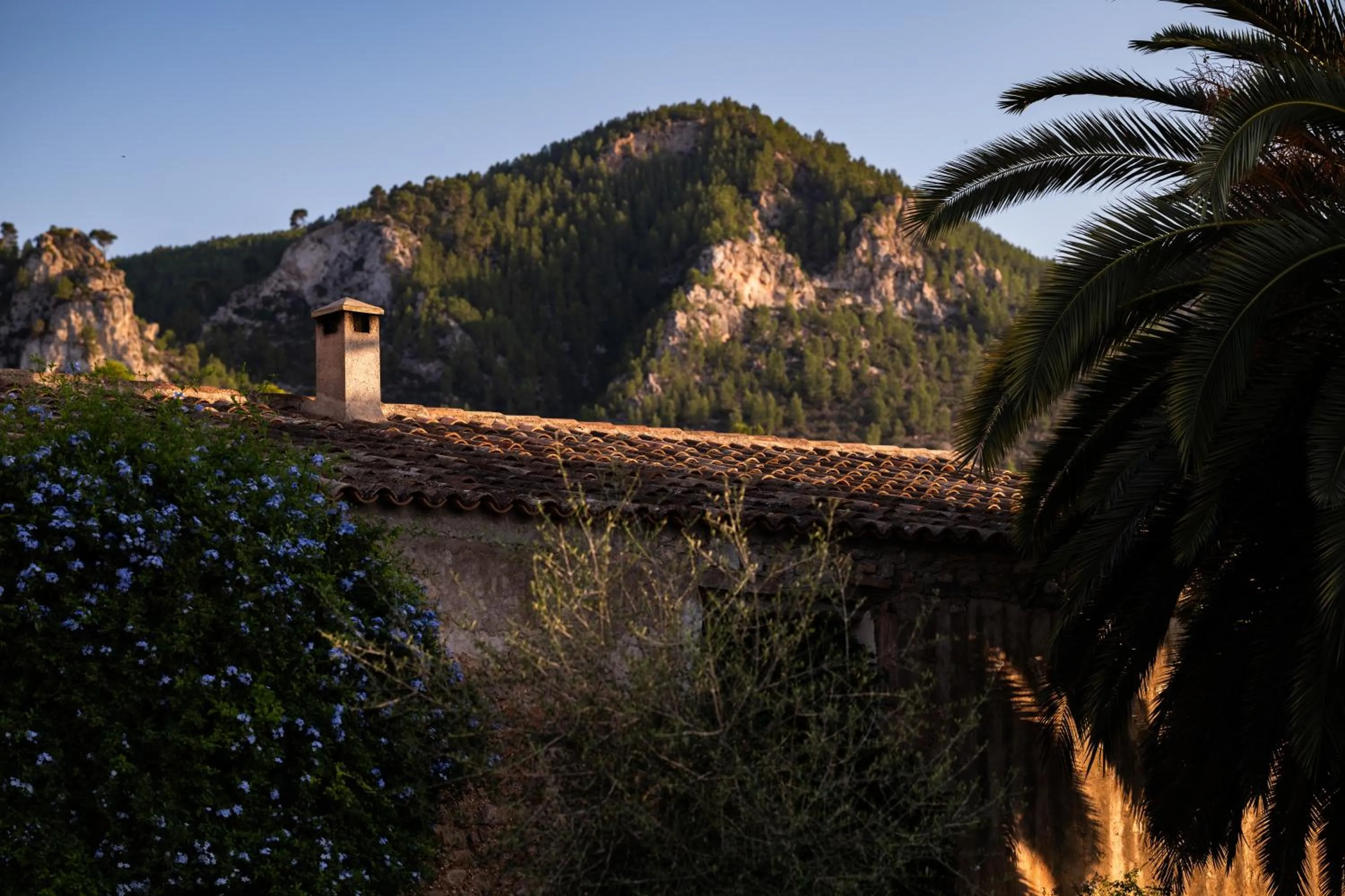 Agroturismo Son Boronat