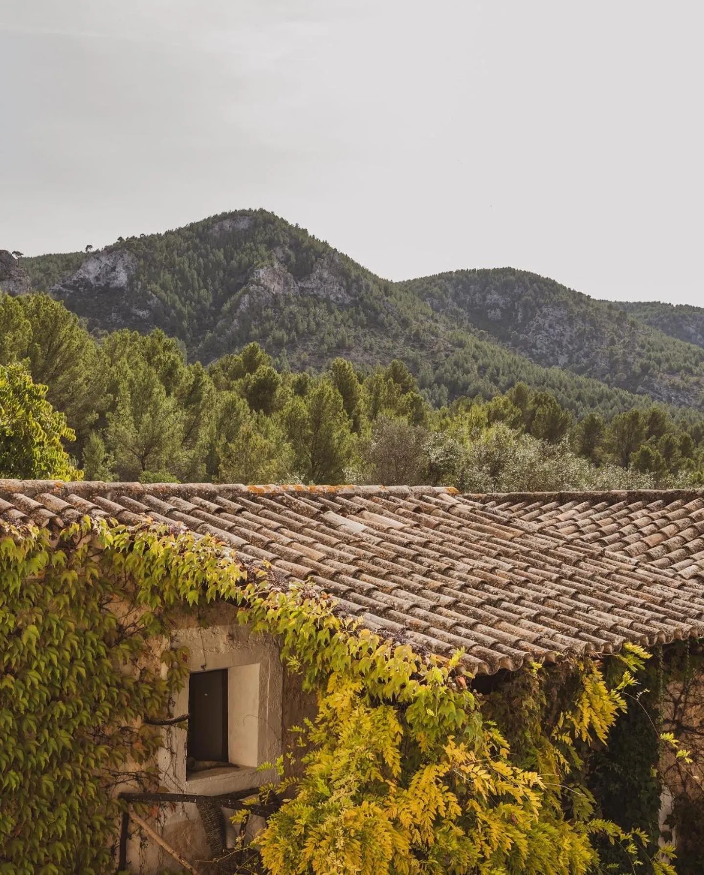 Property building in Agroturismo Son Boronat