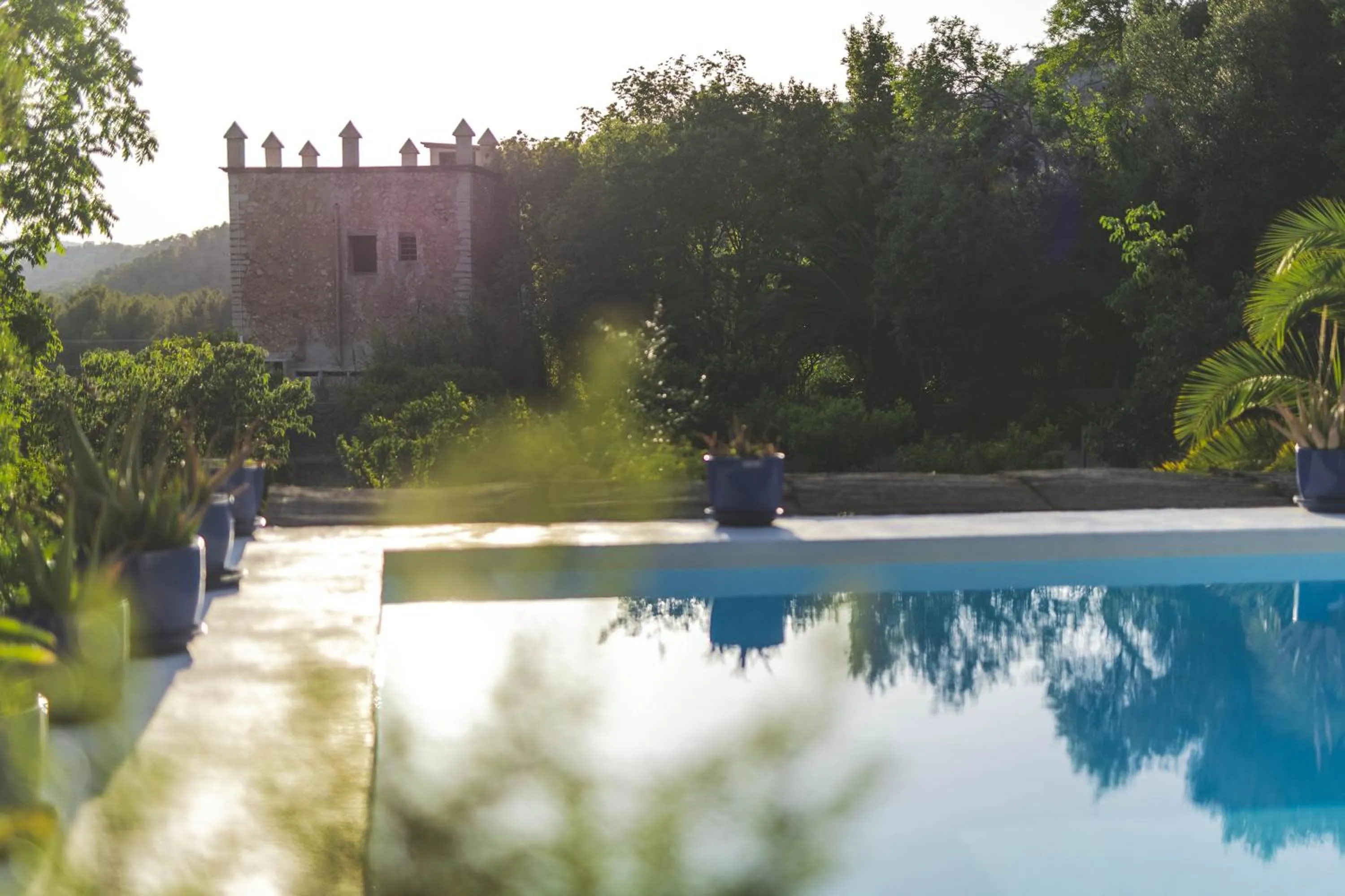 Spring in Agroturismo Son Boronat