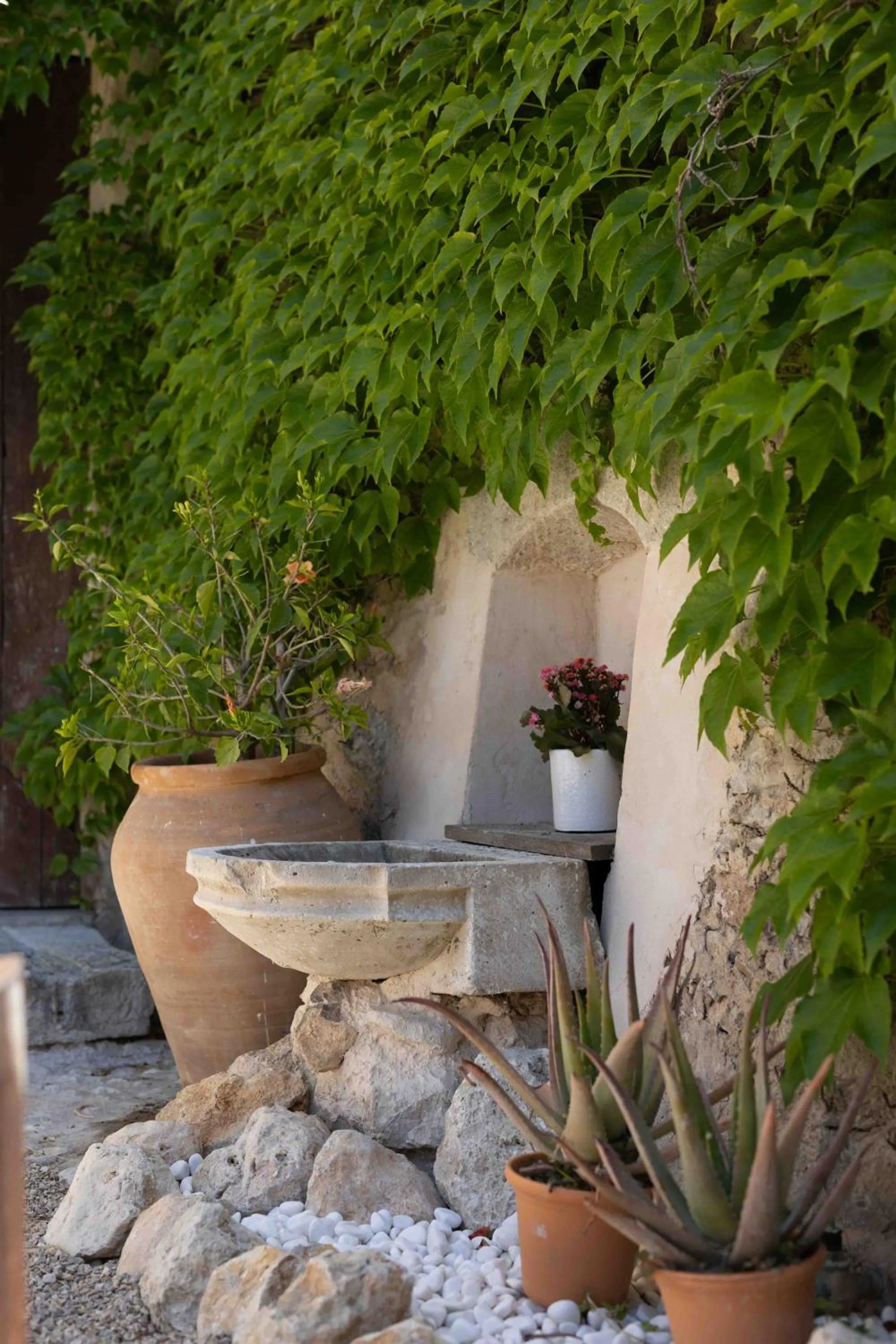 Day in Agroturismo Son Boronat