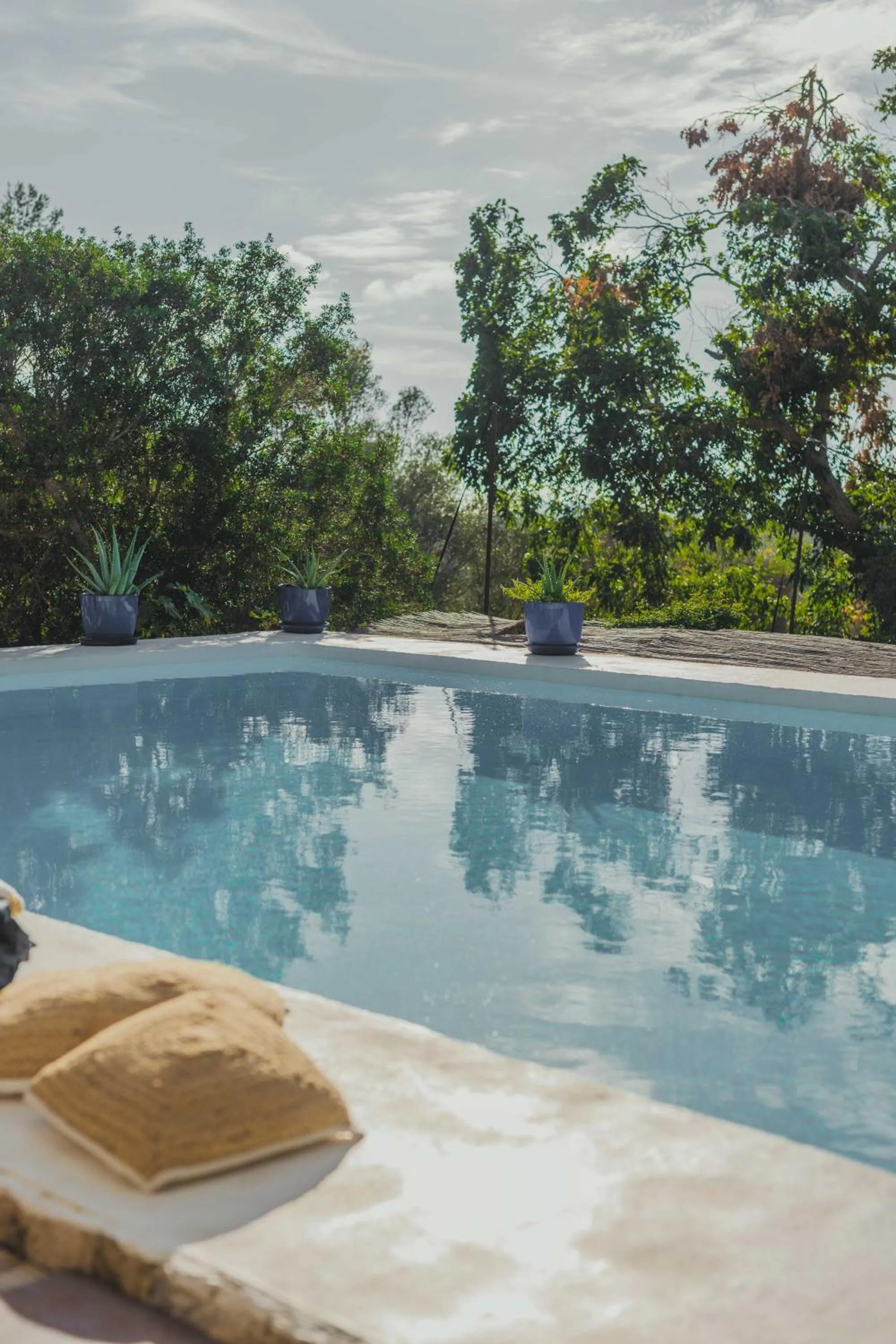 Day in Agroturismo Son Boronat