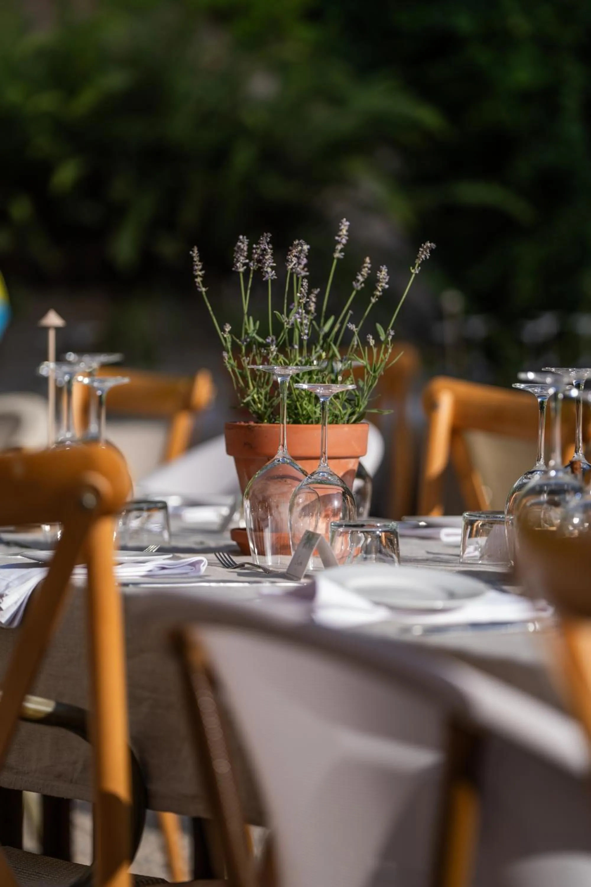 Agroturismo Son Boronat