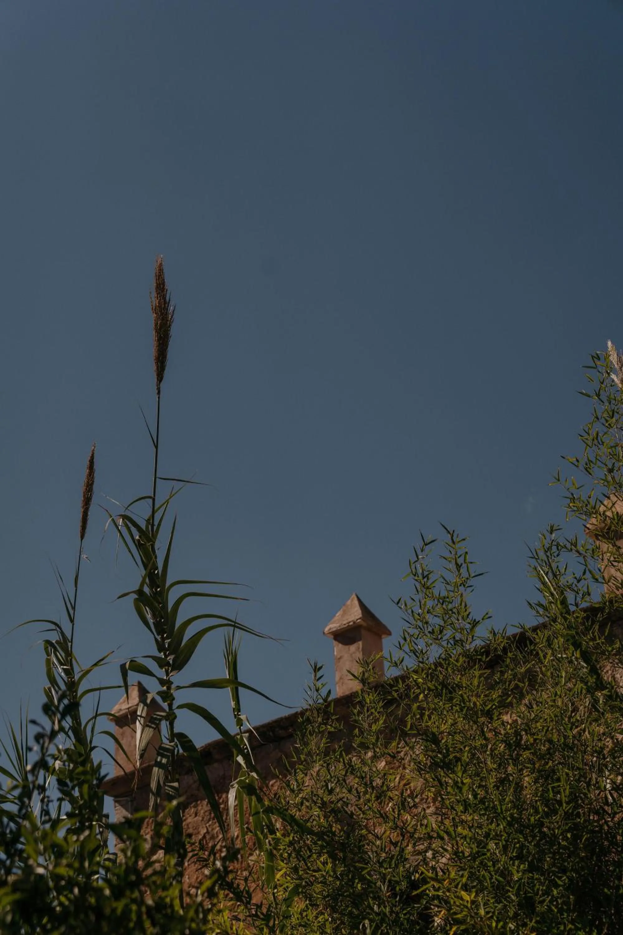 Day in Agroturismo Son Boronat