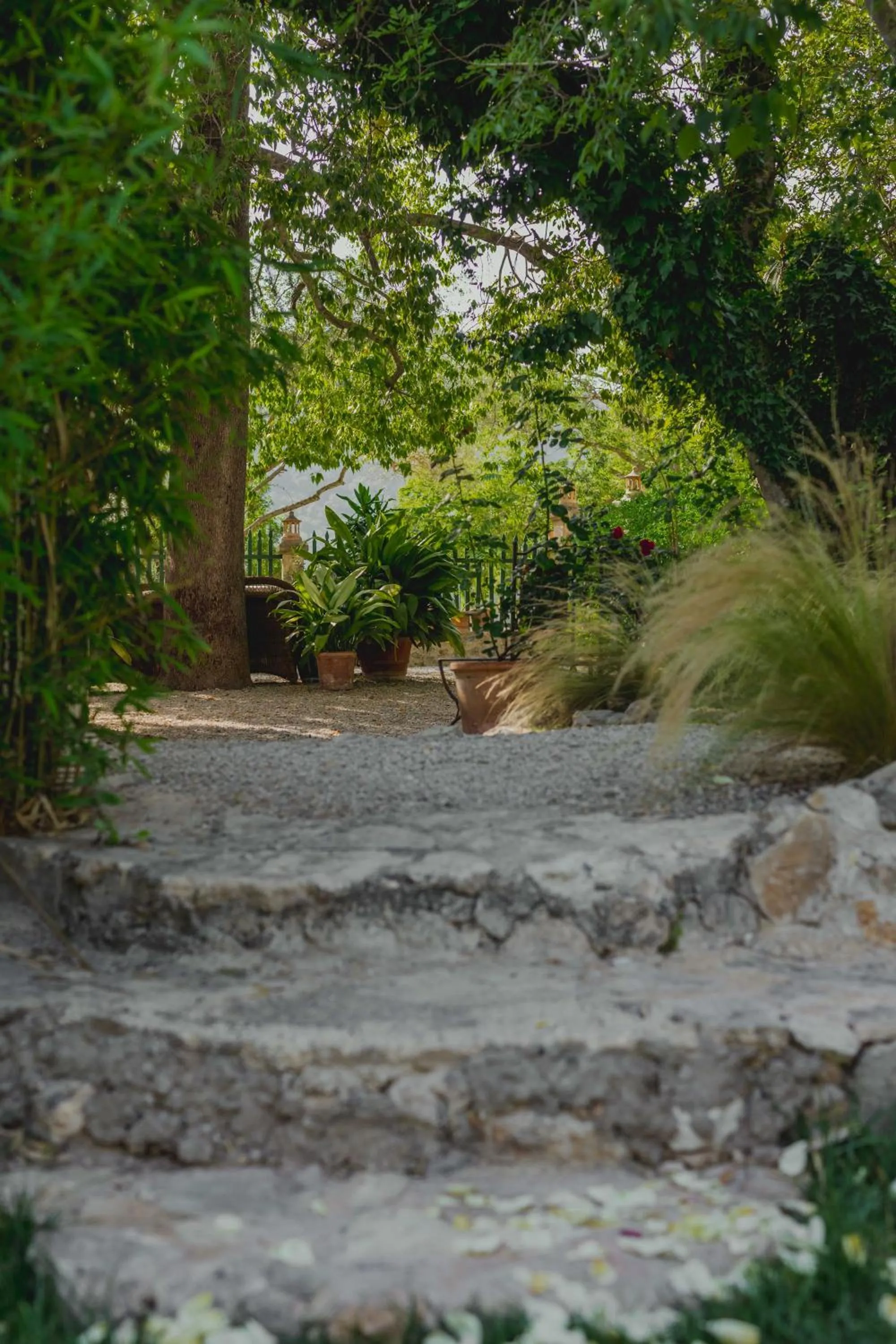 Spring in Agroturismo Son Boronat