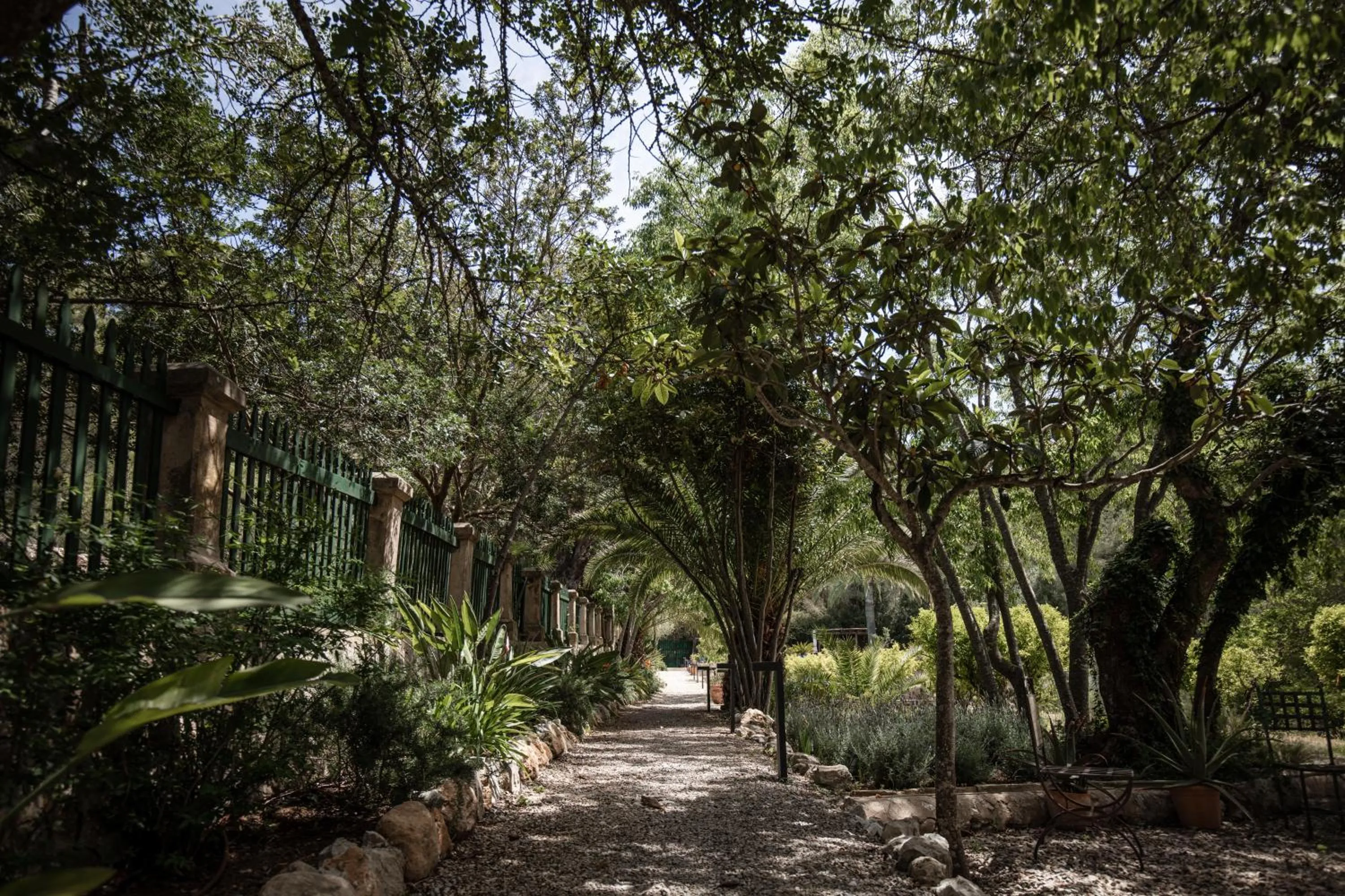 Day in Agroturismo Son Boronat