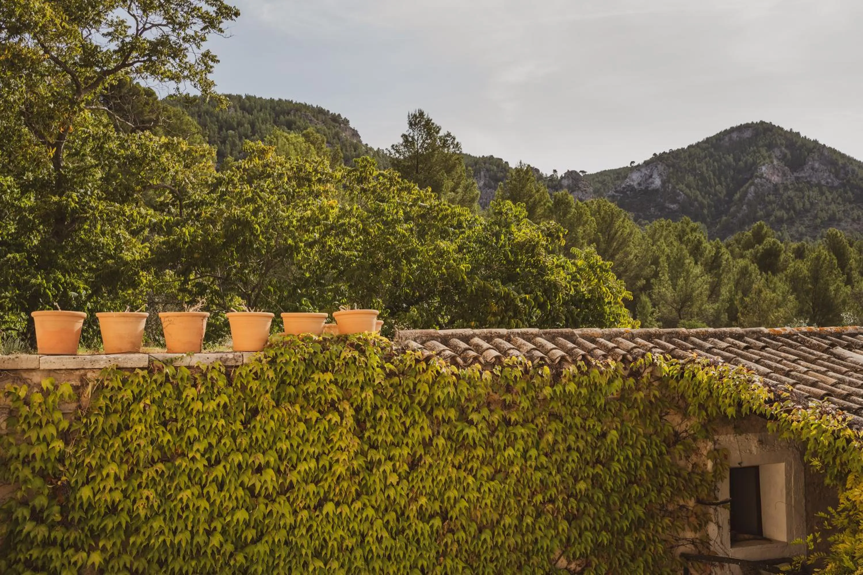 Day in Agroturismo Son Boronat