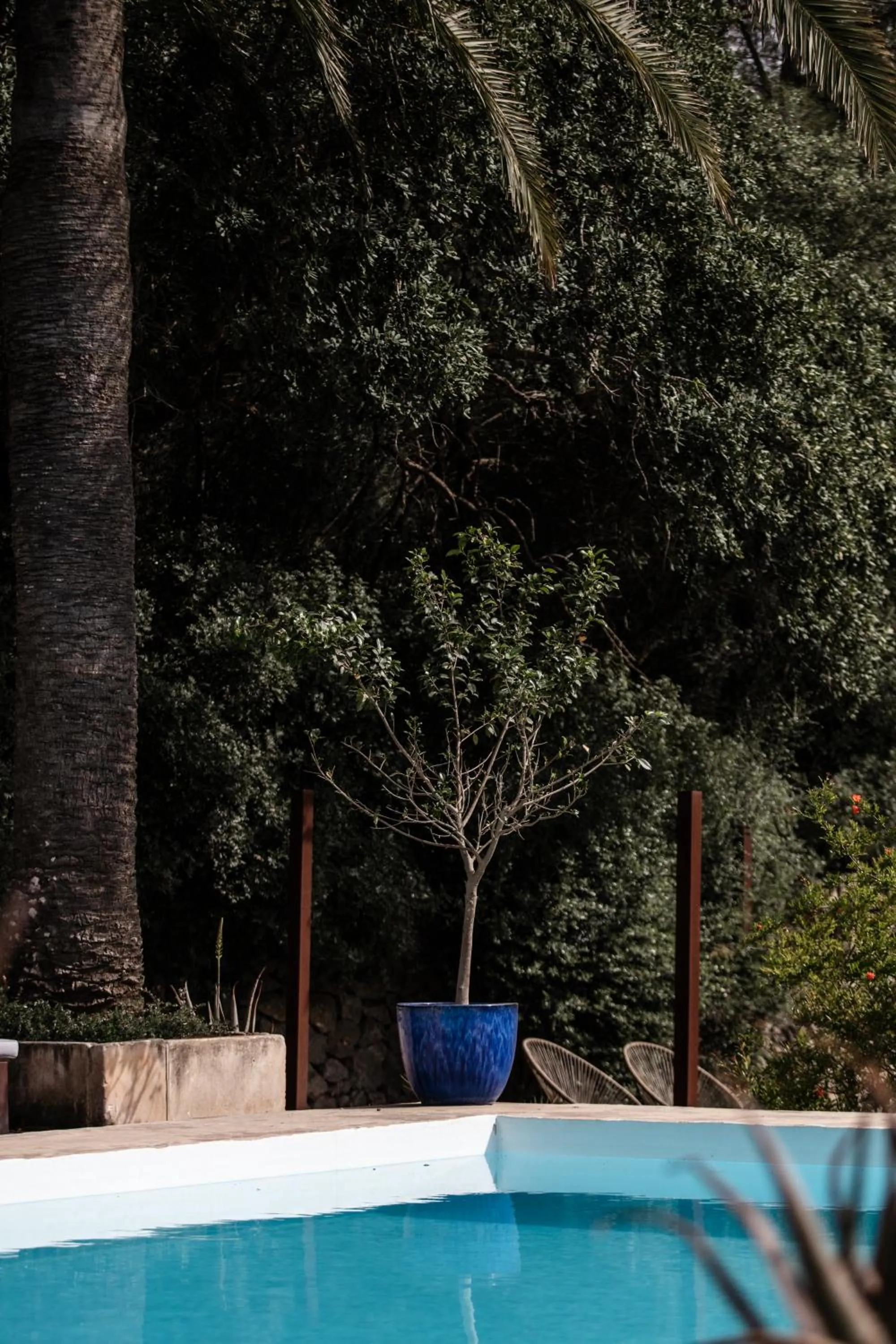 Agroturismo Son Boronat