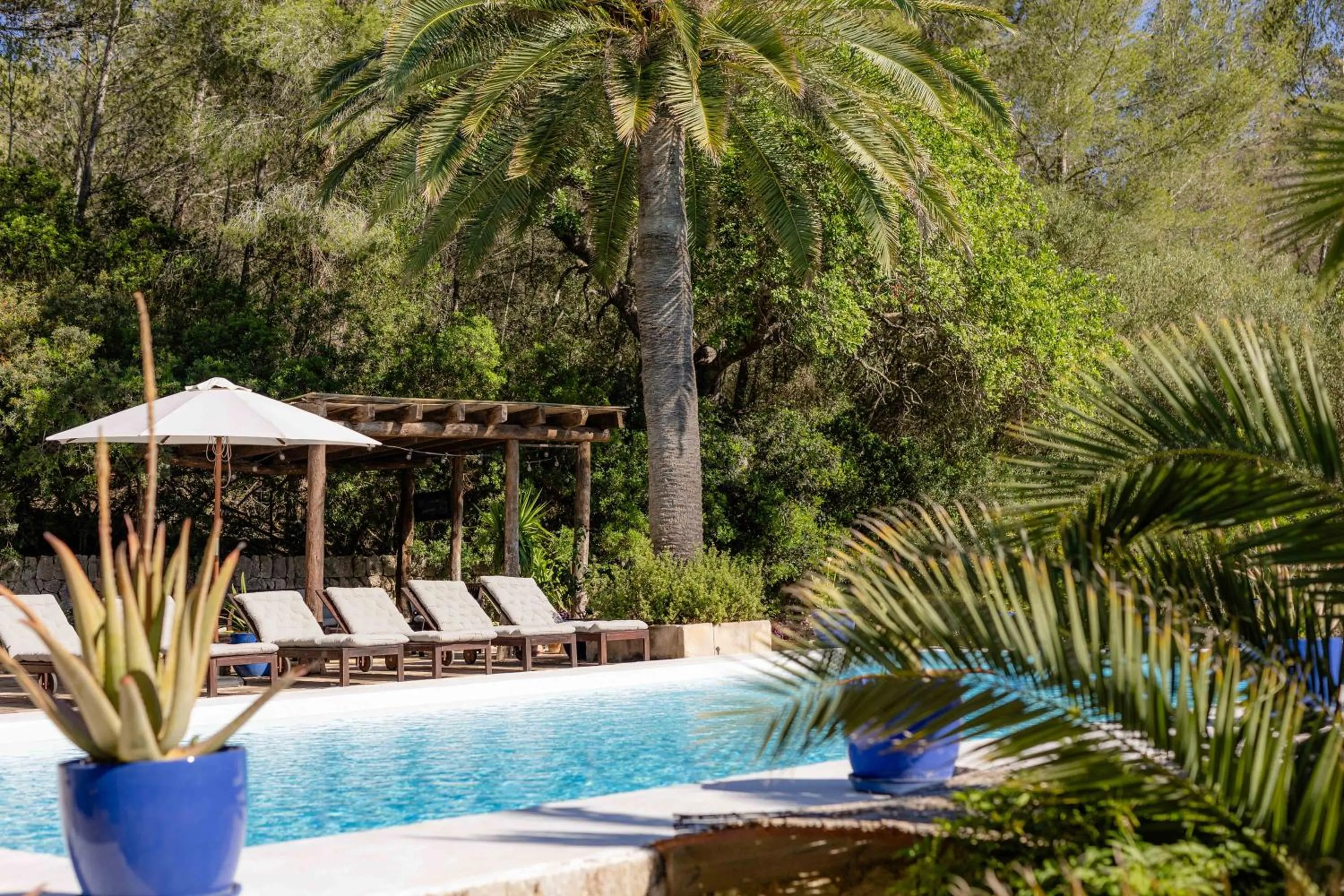 Swimming pool in Agroturismo Son Boronat