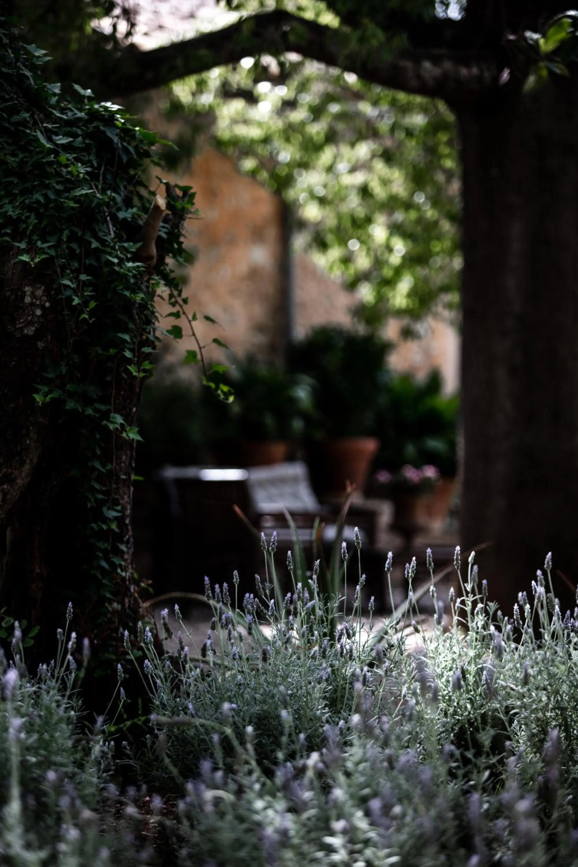 Agroturismo Son Boronat