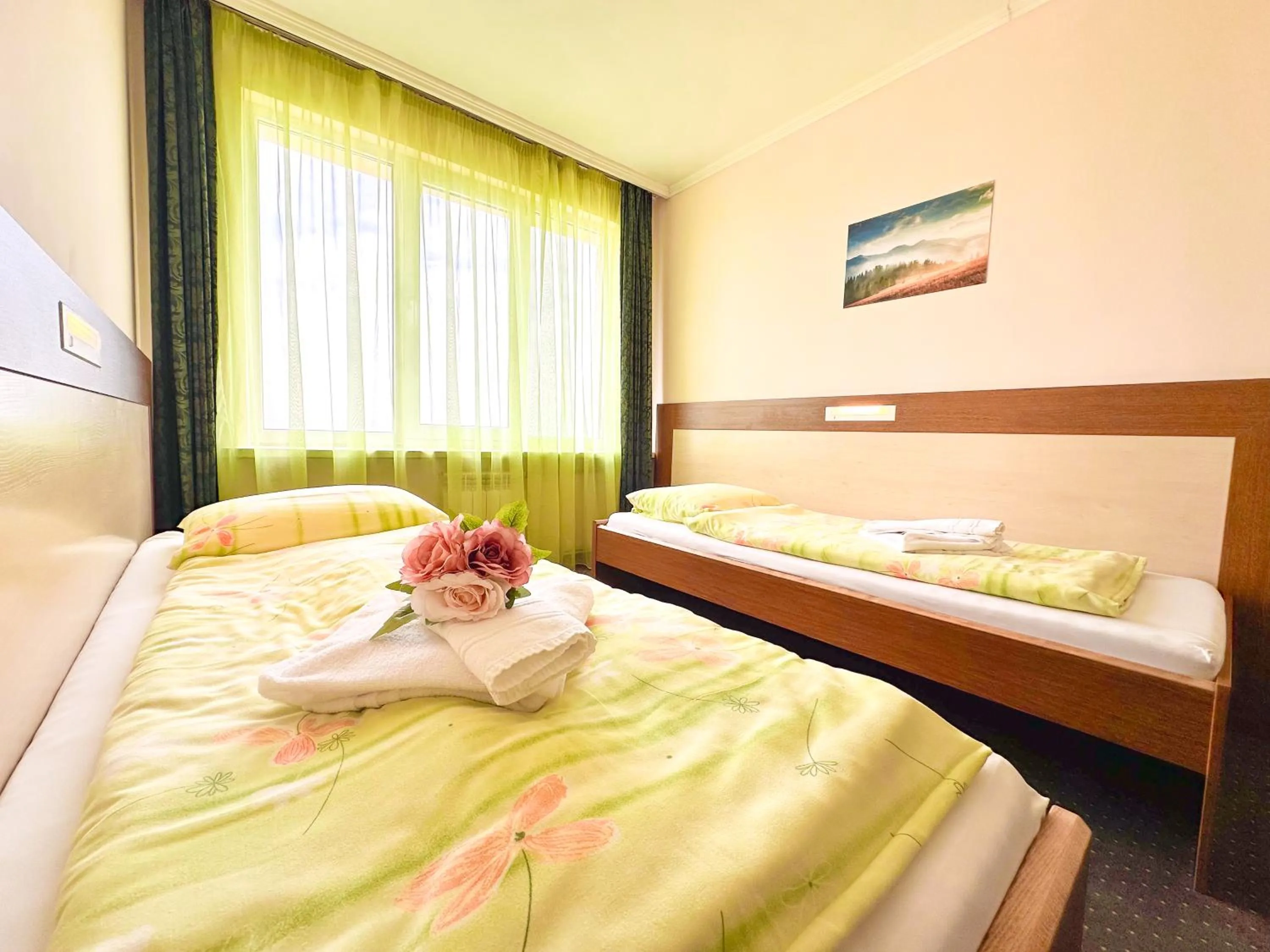 Bed in Hotel Gorna Banya