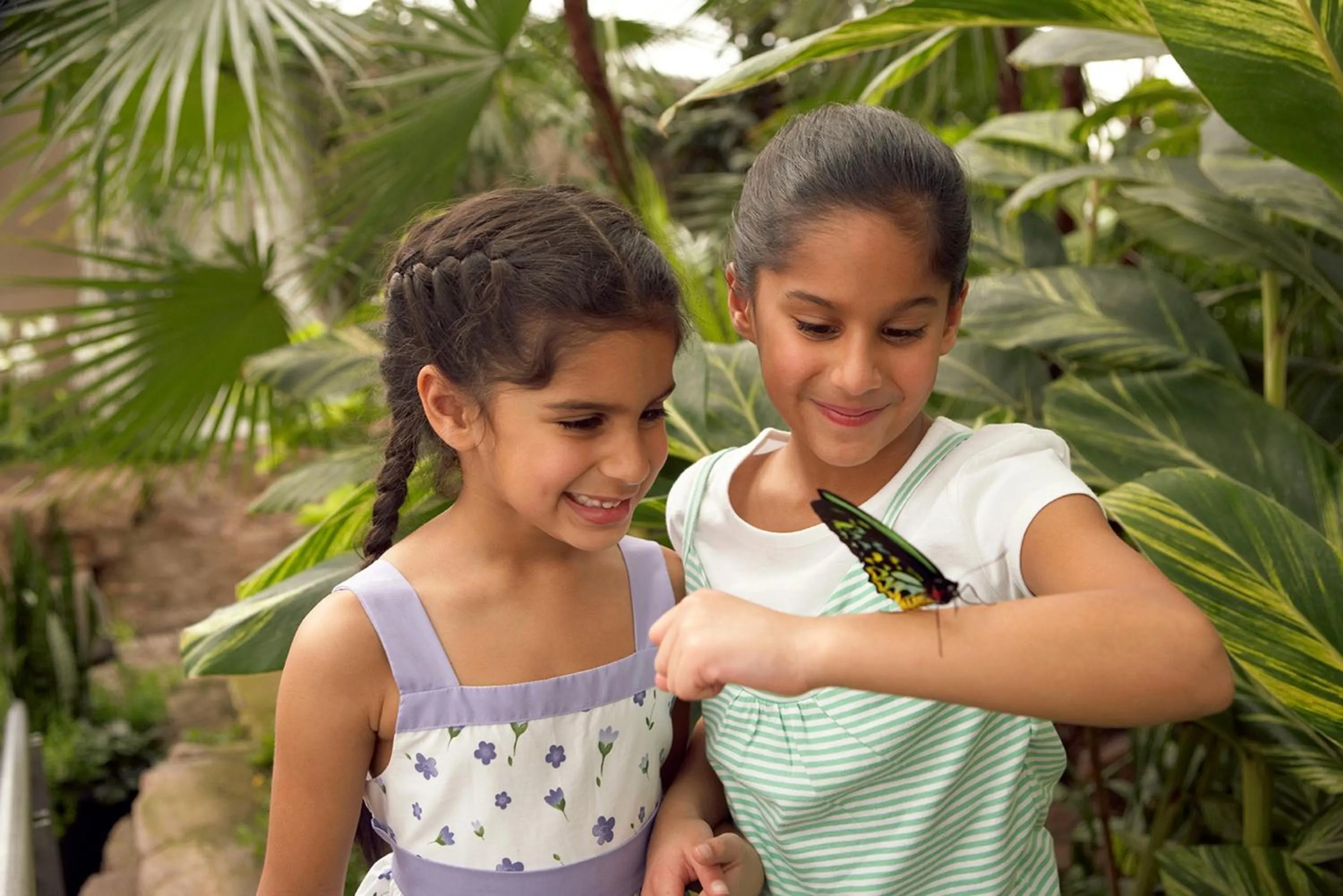 Area and facilities in Holiday Inn Express Niagara-On-The-Lake by IHG