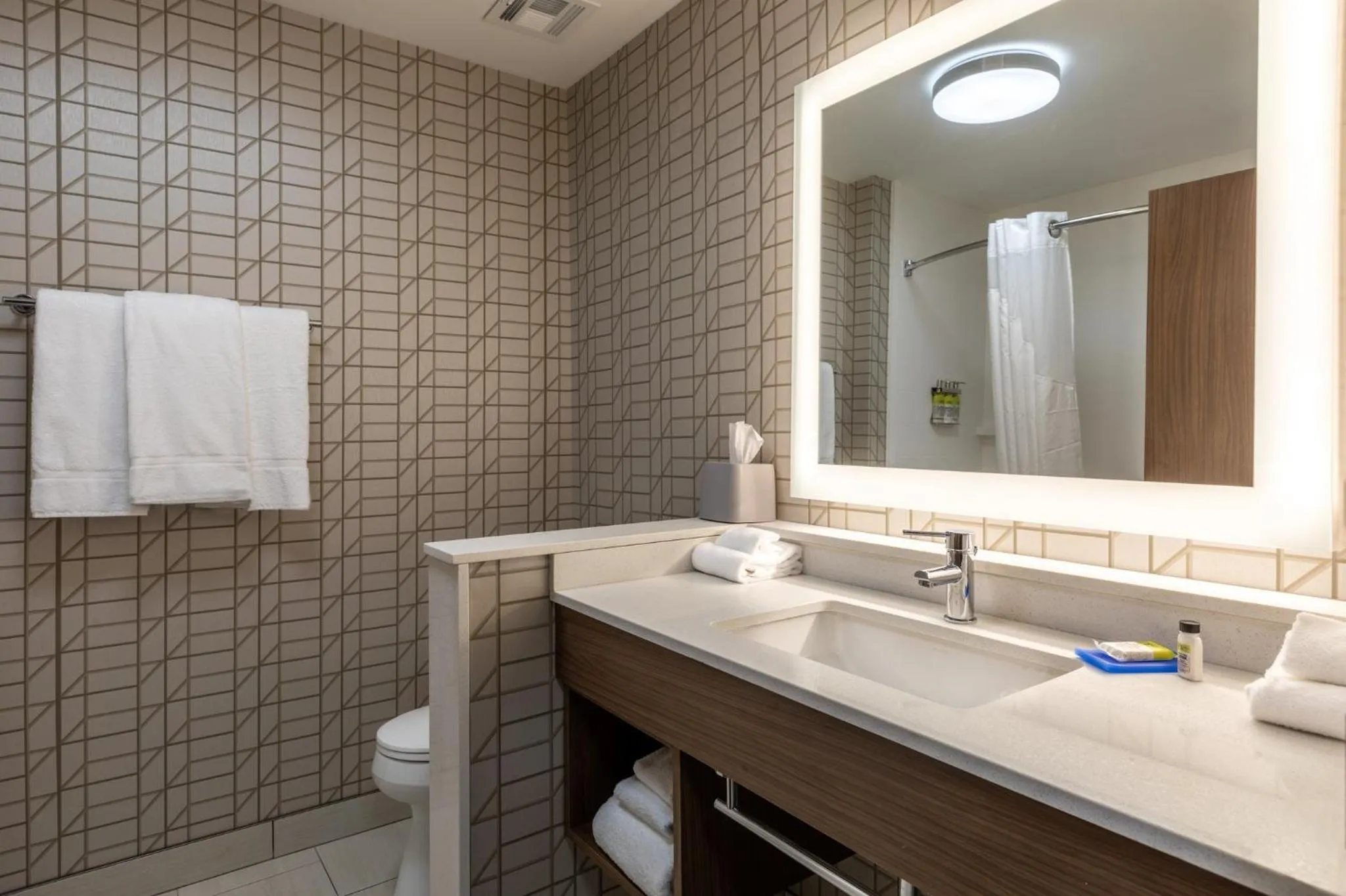 Bathroom in Holiday Inn Express & Suites Gainesville - Lake Lanier Area by IHG