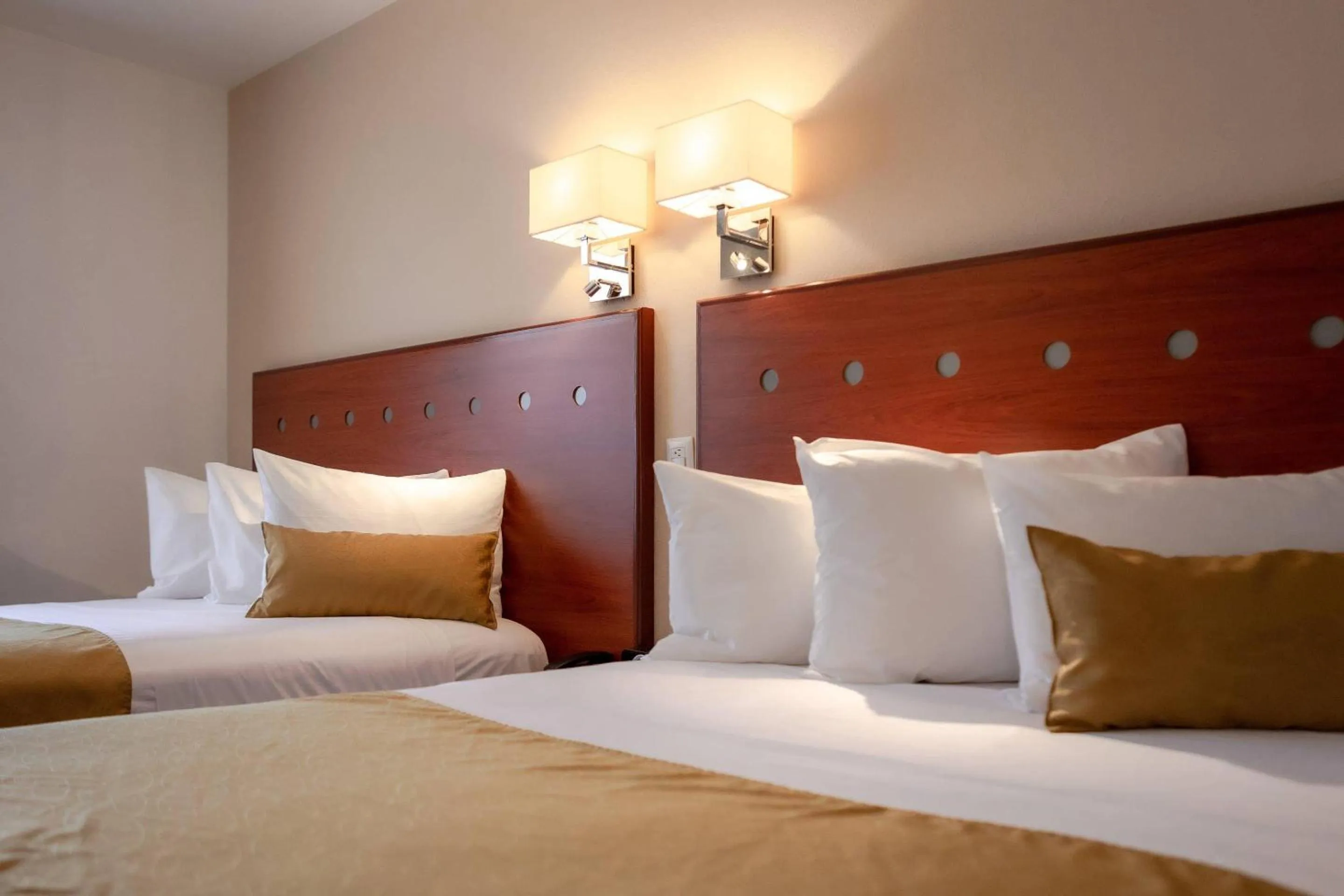 Bedroom, Bed in Comfort Inn Queretaro Tecnologico