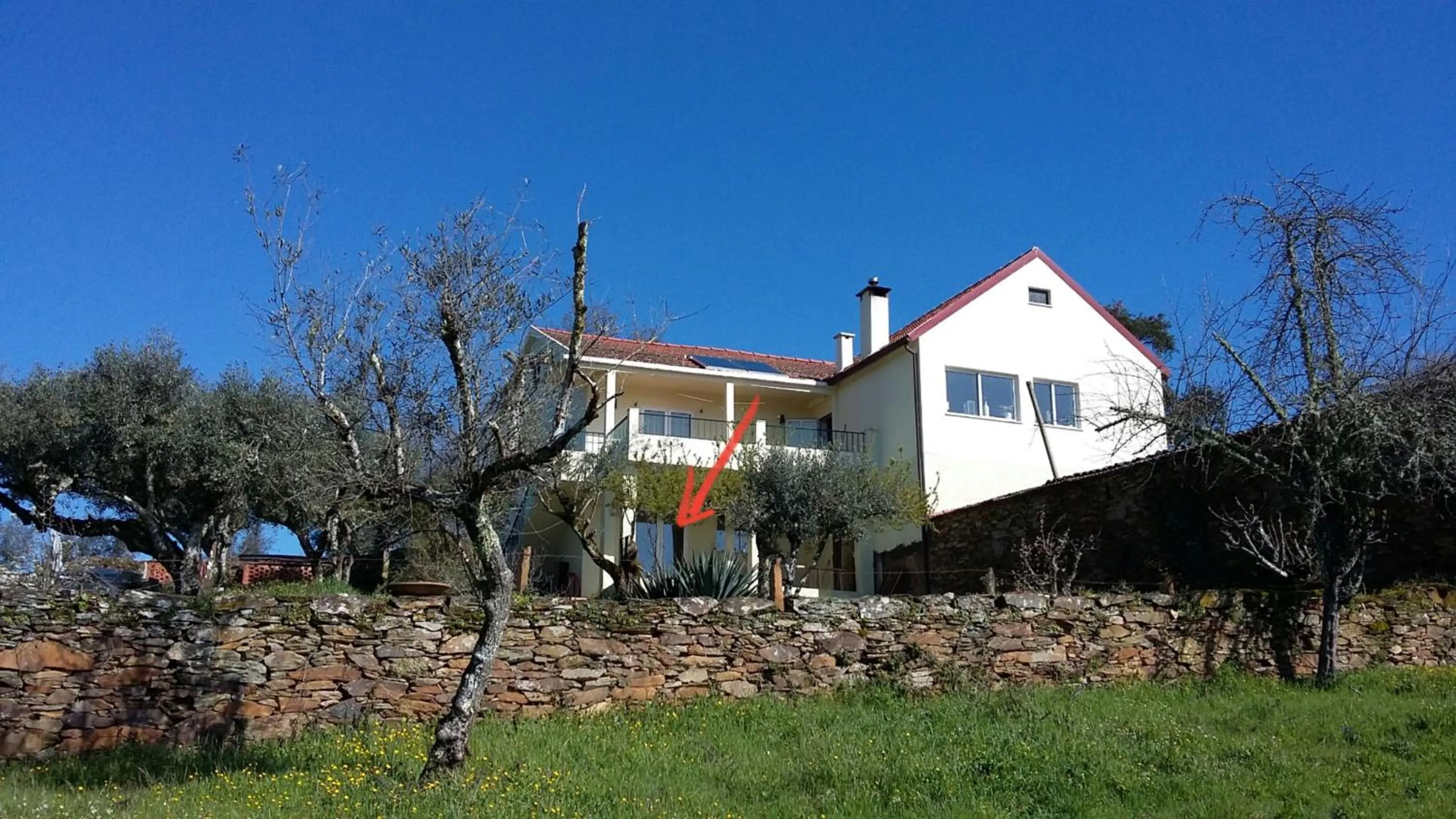 Property building in Porturama