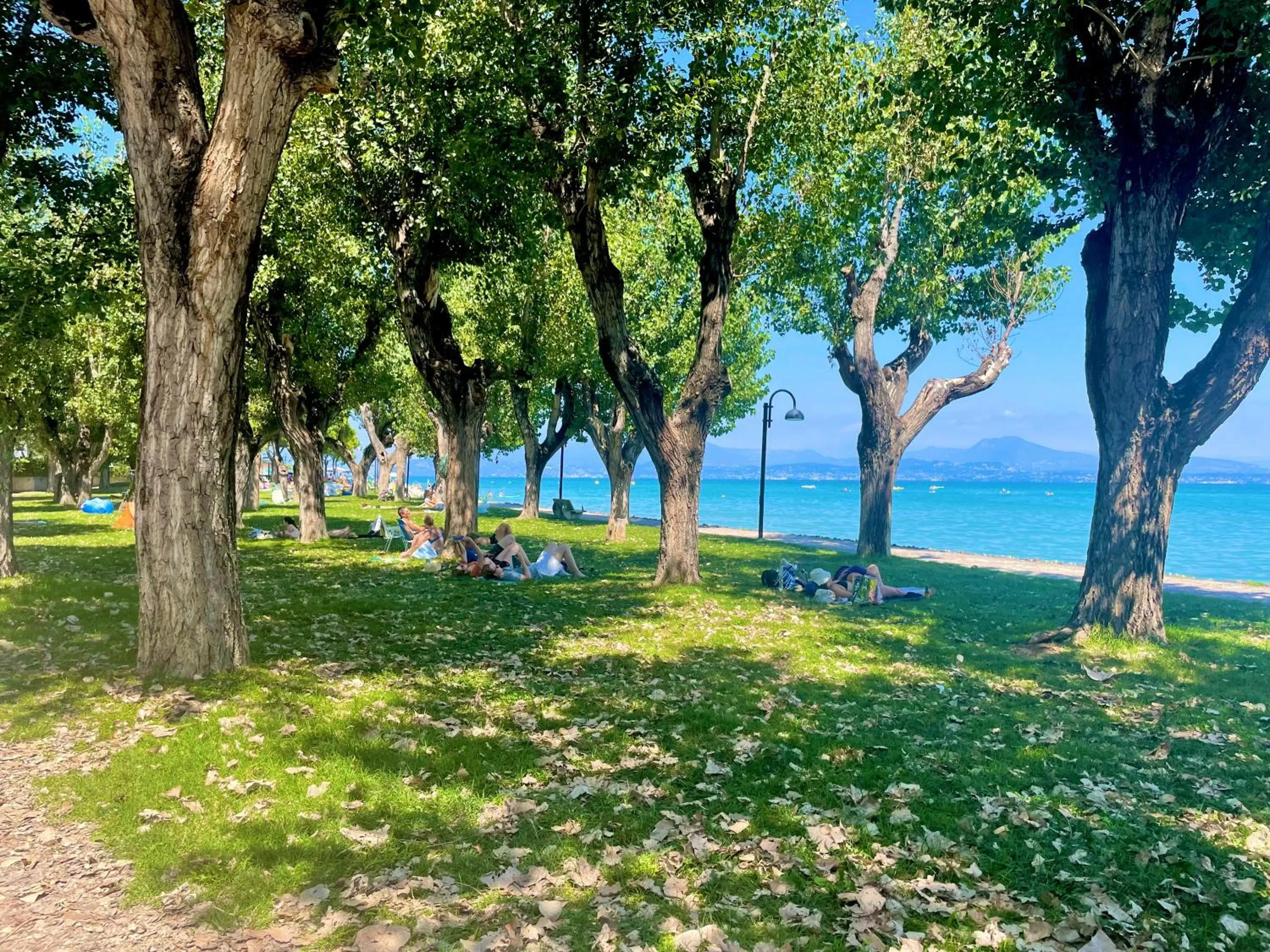 Natural landscape in Hotel Alfieri