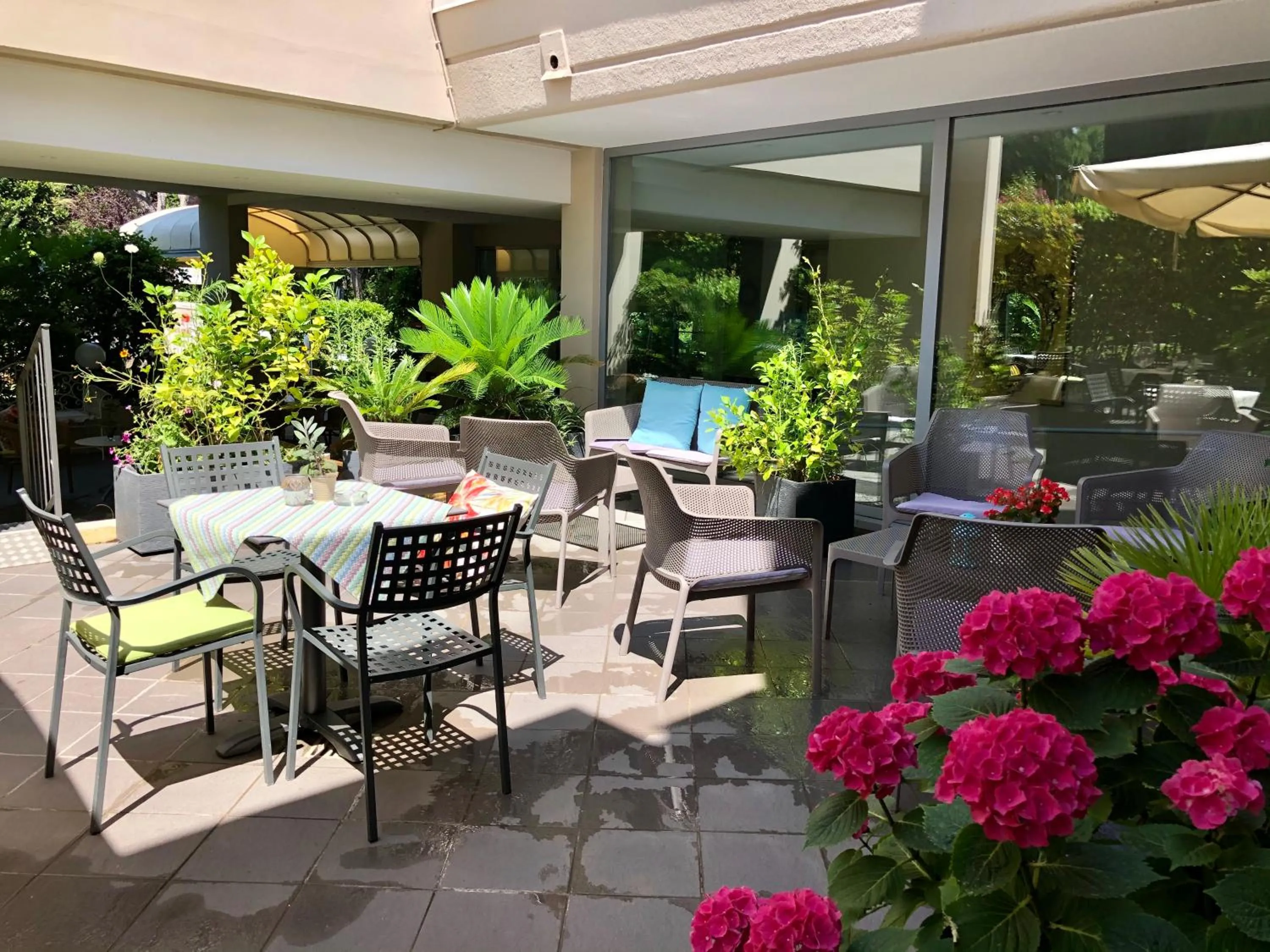 Garden in Hotel Alfieri