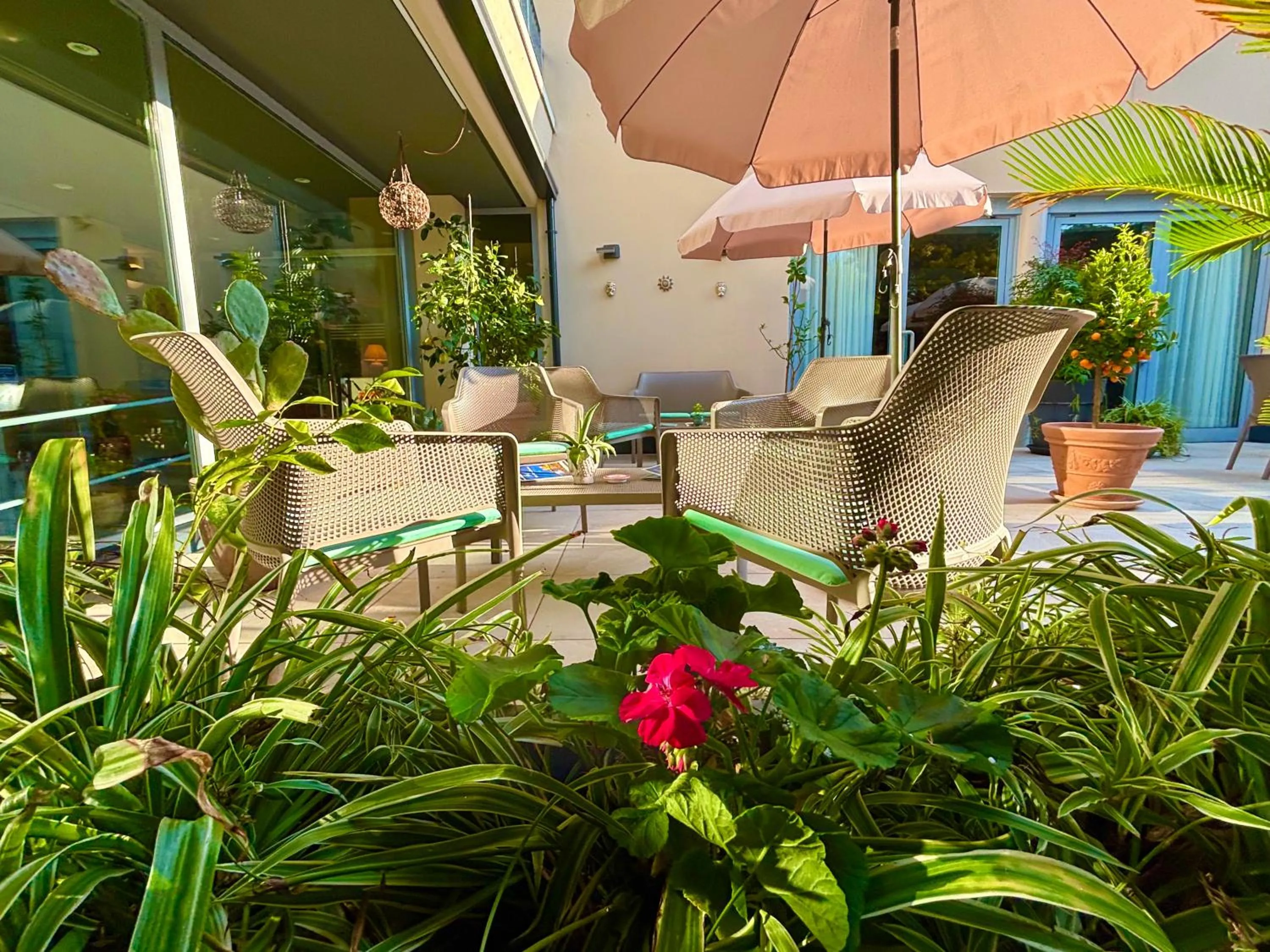 Garden in Hotel Alfieri