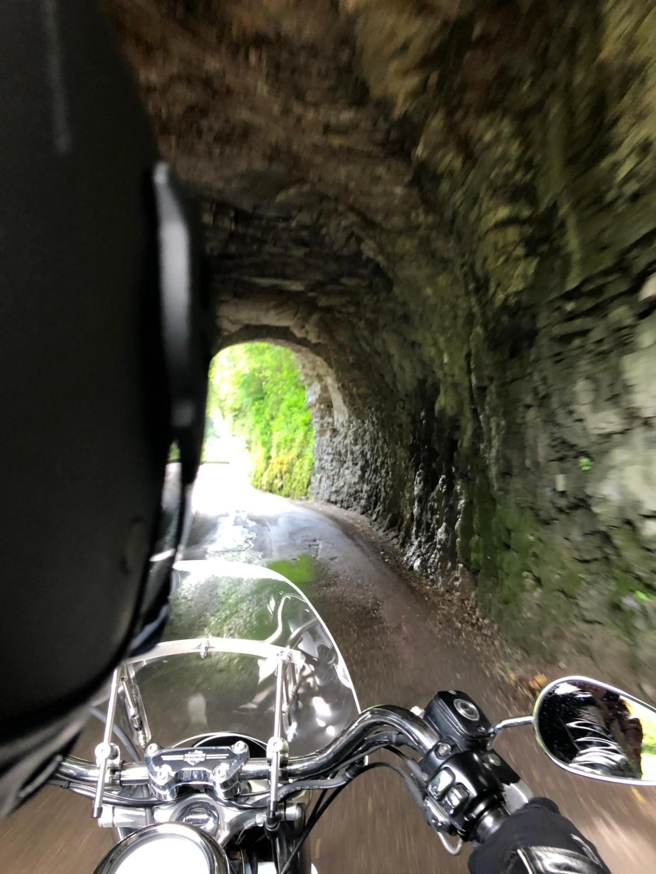 Natural landscape in Hotel Alfieri