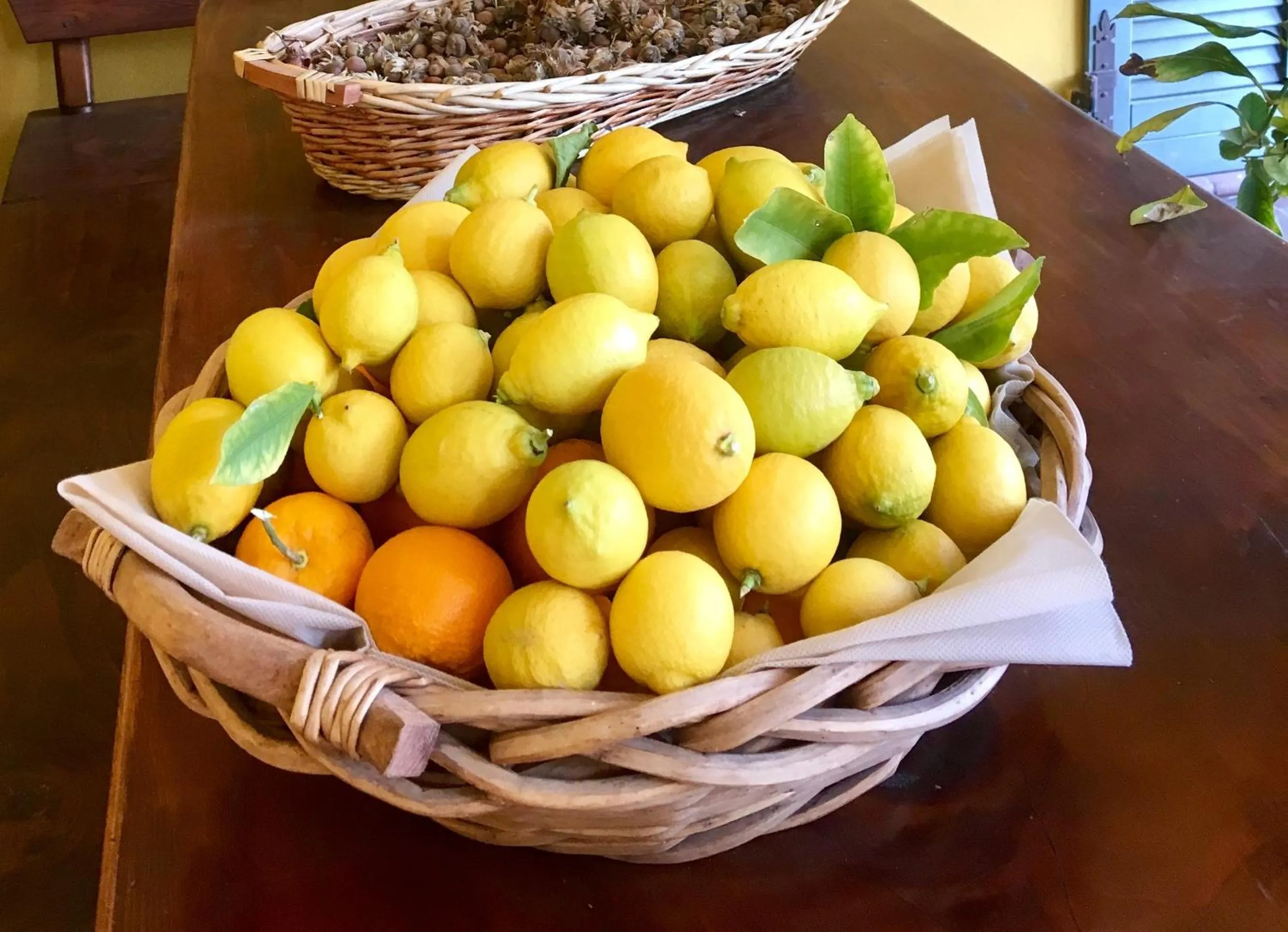 Garden in Hotel Alfieri