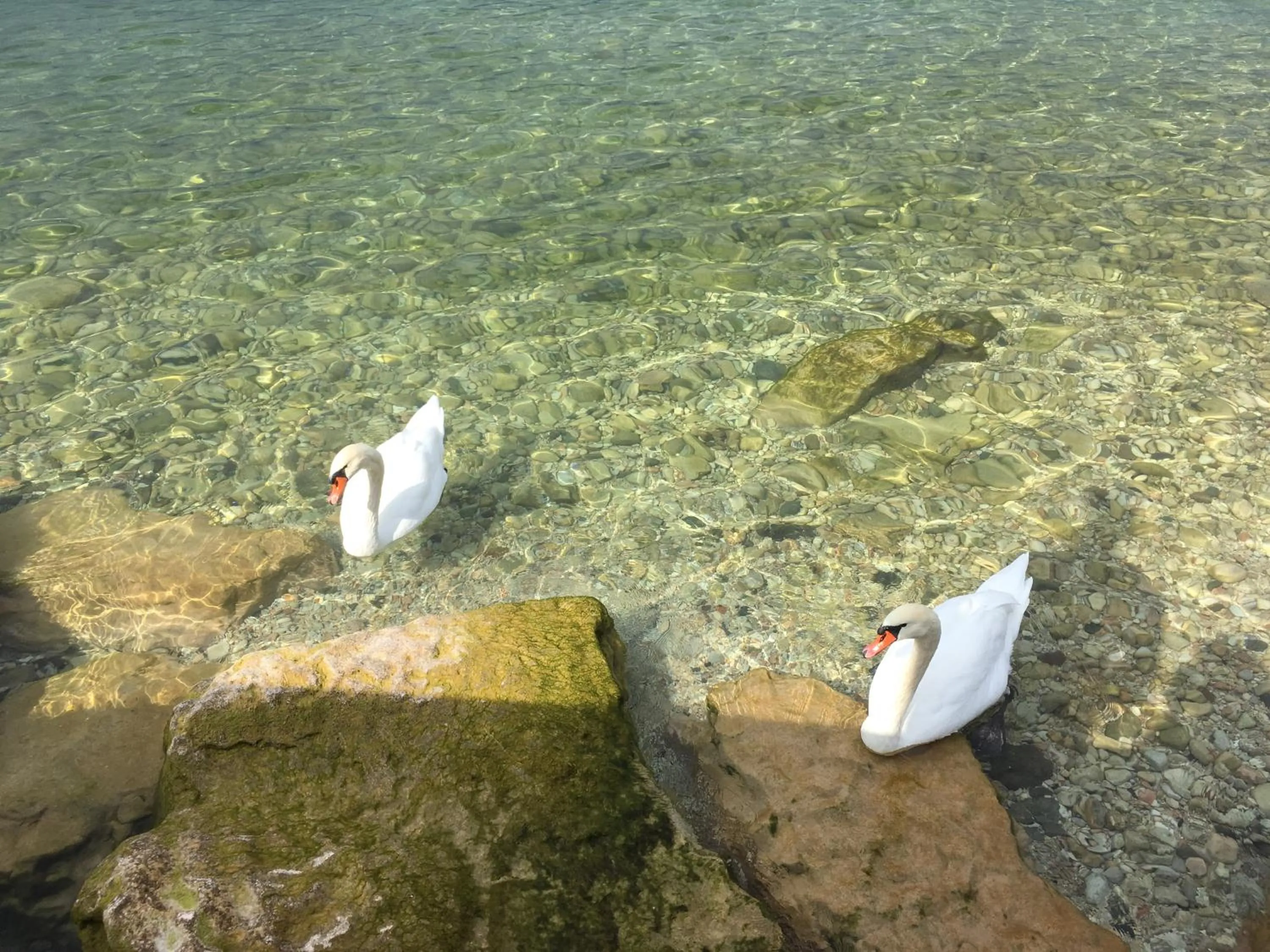 Lake view in Hotel Alfieri