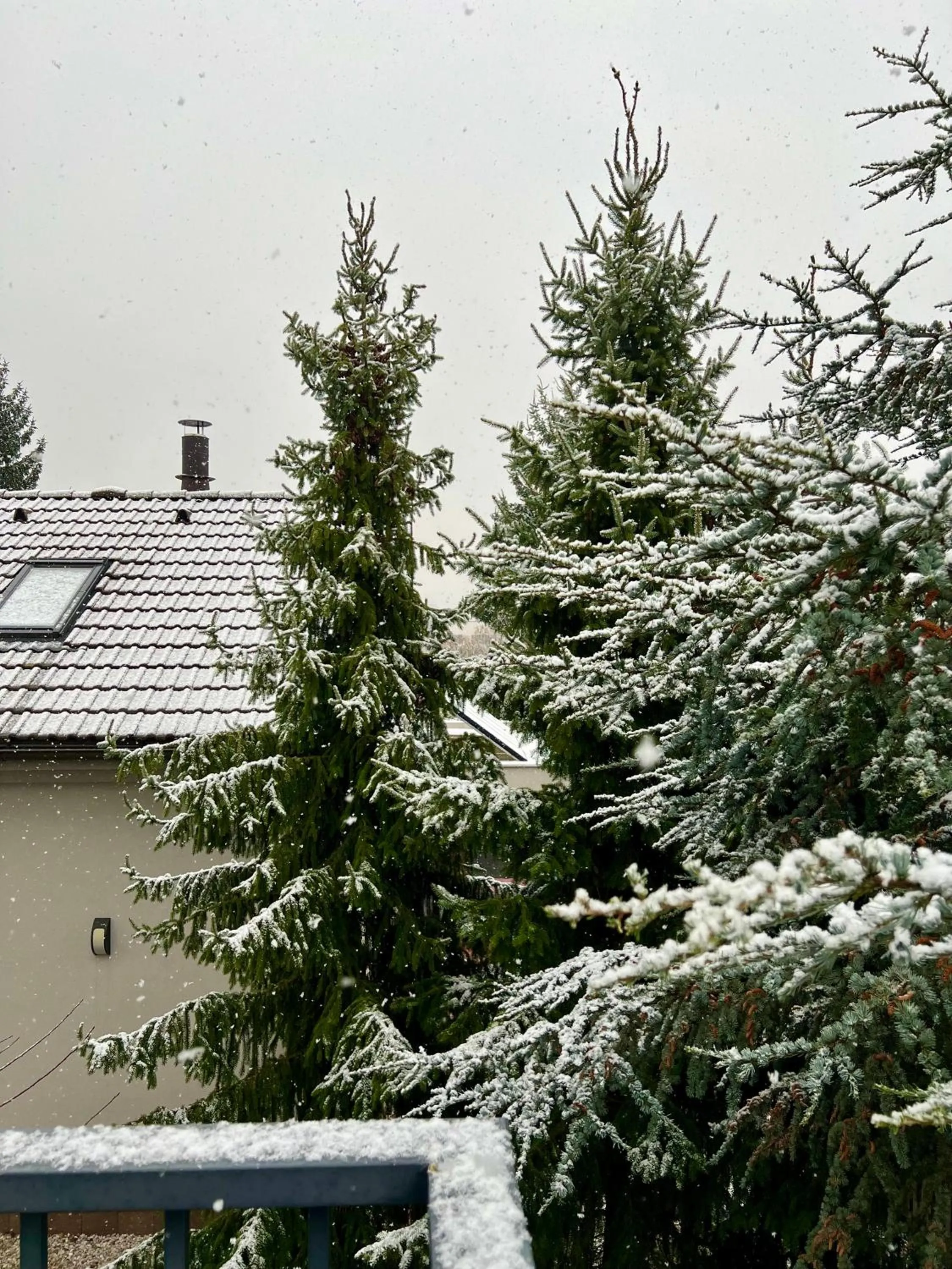 Day in Grand Petit Hotel ex Shato Gesson